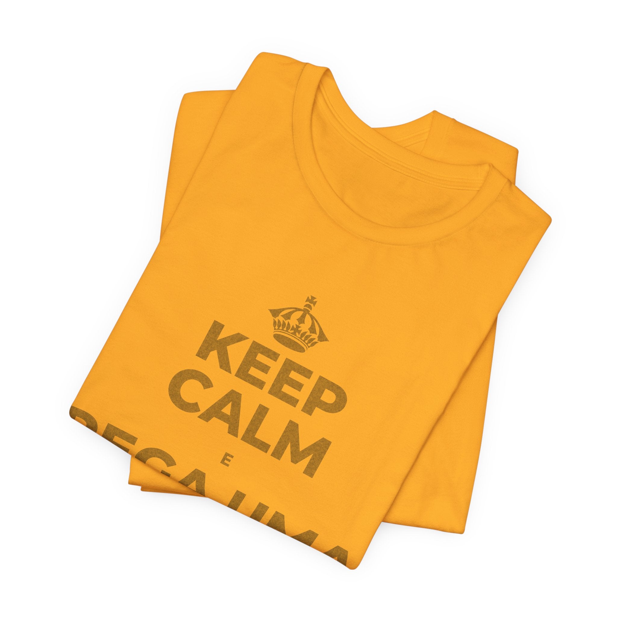 KEEP CALM E PEGA UMA AULA DE CADA VEZ T-Shirt (Baby Blue–Silver)