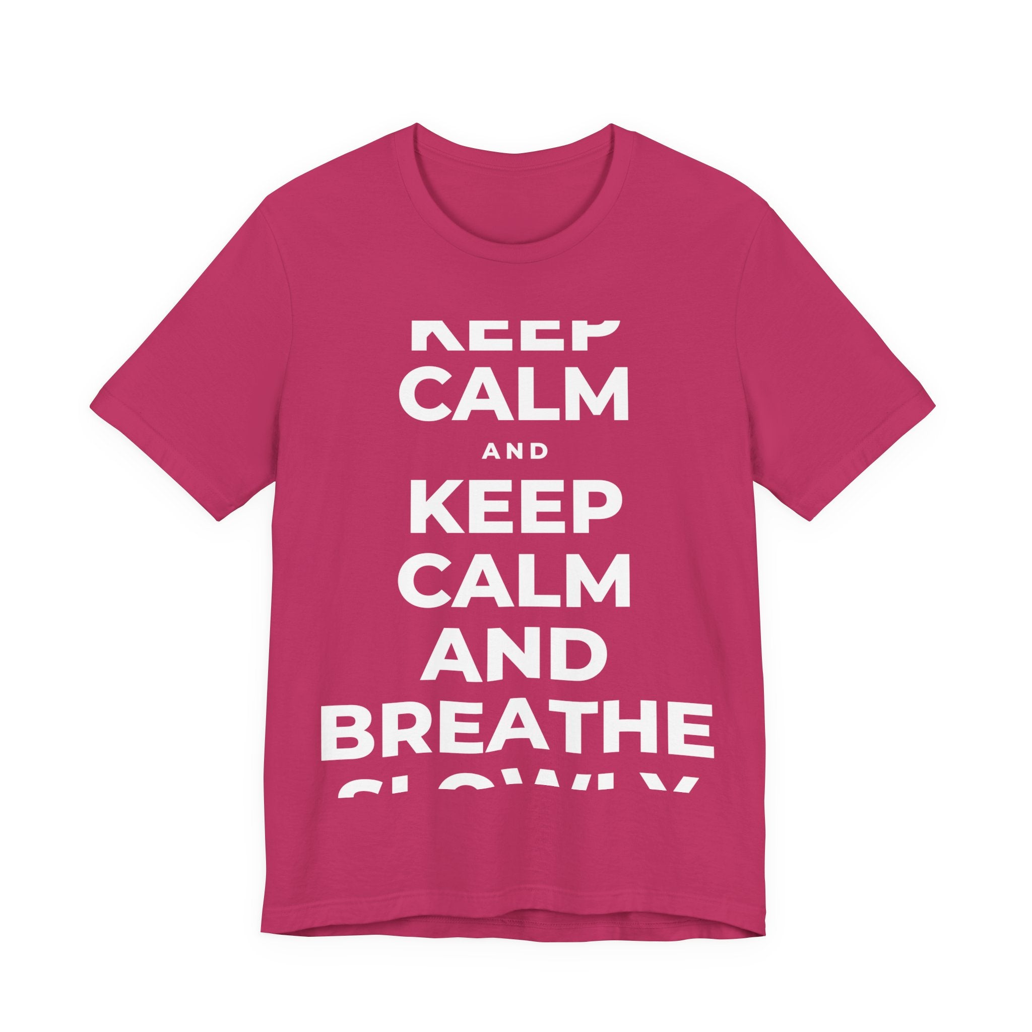 KEEP CALM AND BREATHE SLOWLY T-Shirt (Baby Blue–Silver)
