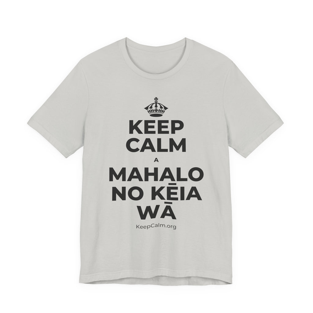 KEEP CALM A MAHALO NO KĒIA WĀ T-Shirt (Baby Blue–Silver)