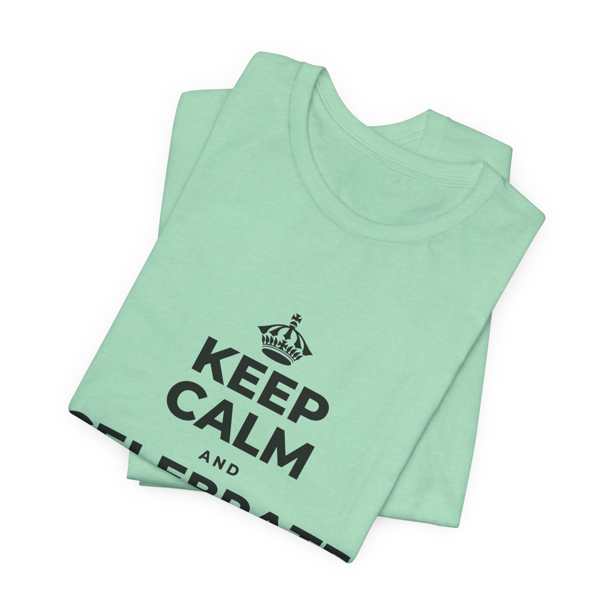 KEEP CALM AND CELEBRATE THE SMALL STUFF T-Shirt (Baby Blue–Silver)