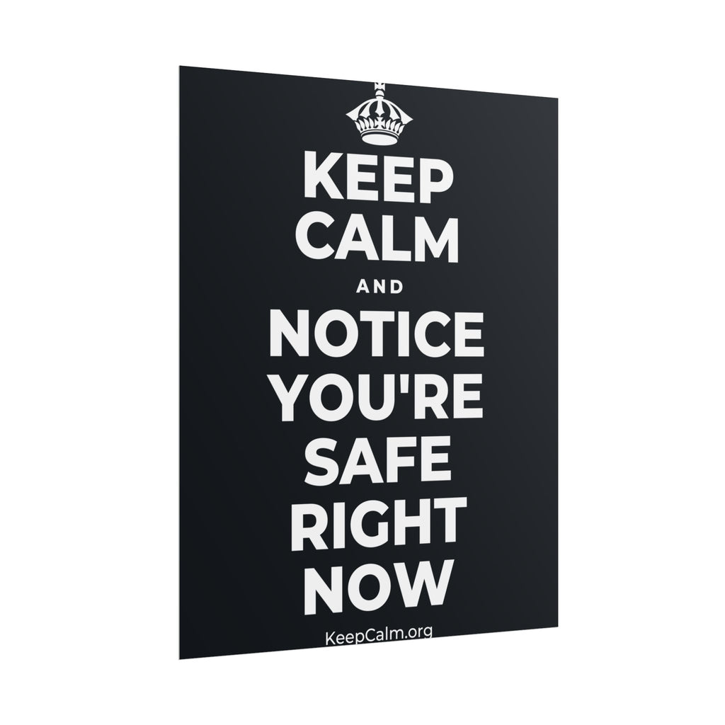 KEEP CALM AND NOTICE YOU'RE SAFE RIGHT NOW Poster (Dark)