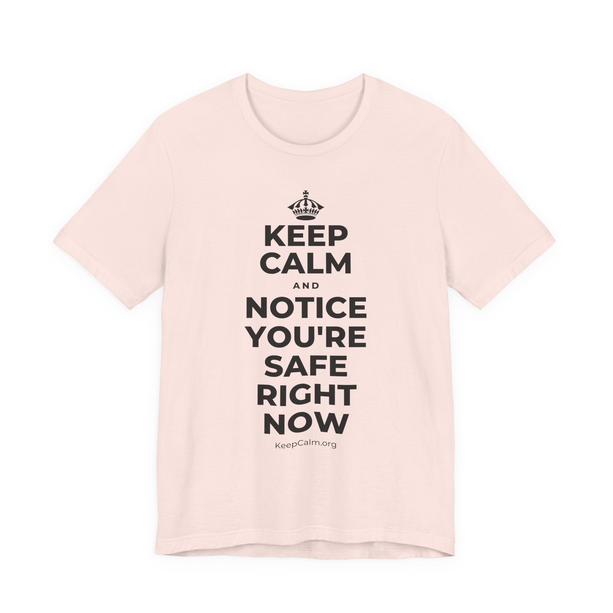 KEEP CALM AND NOTICE YOU'RE SAFE RIGHT NOW T-Shirt (Soft Cream–Heather Mauve)