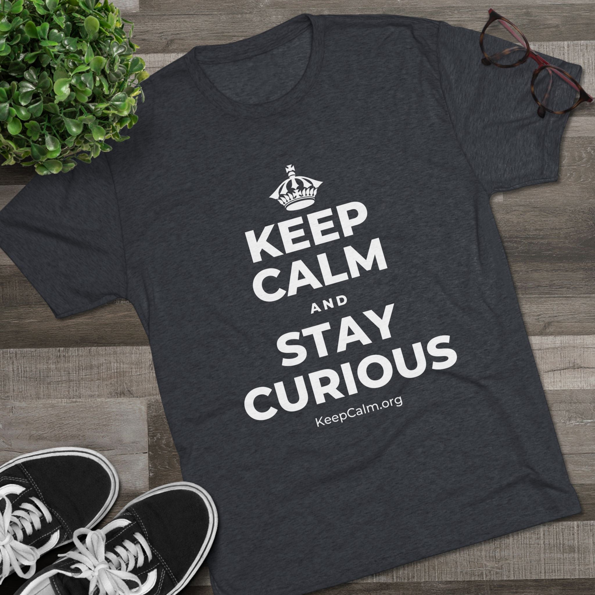 KEEP CALM AND STAY CURIOUS Tri-Blend Tee