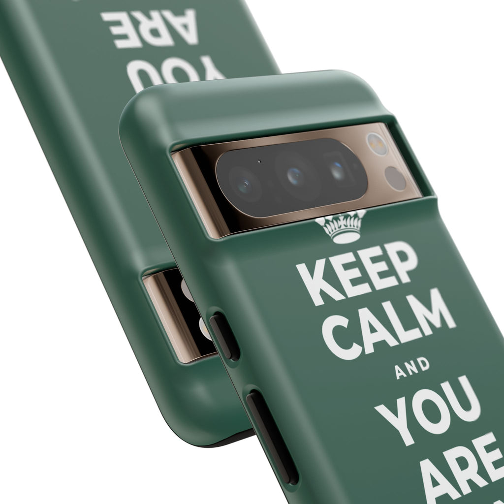 KEEP CALM AND YOU ARE DOING GREAT TODAY Phone Case