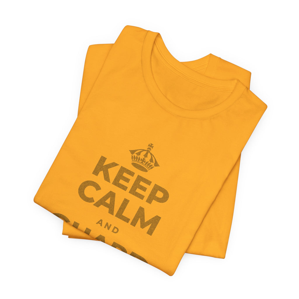 KEEP CALM AND GUARD YOUR MORNING T-Shirt (Baby Blue–Silver)