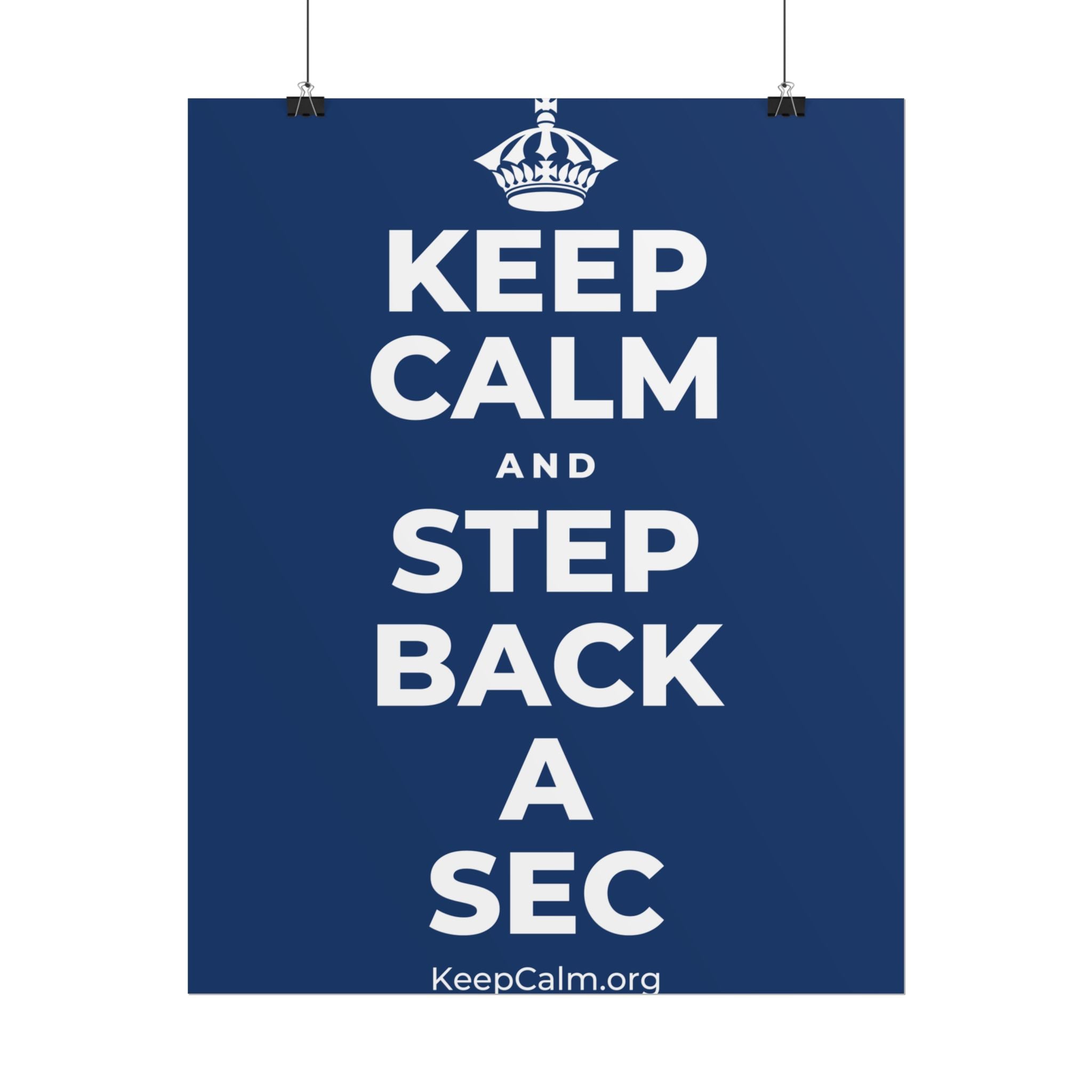 KEEP CALM AND STEP BACK A SEC Poster