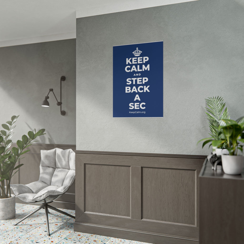 KEEP CALM AND STEP BACK A SEC Poster