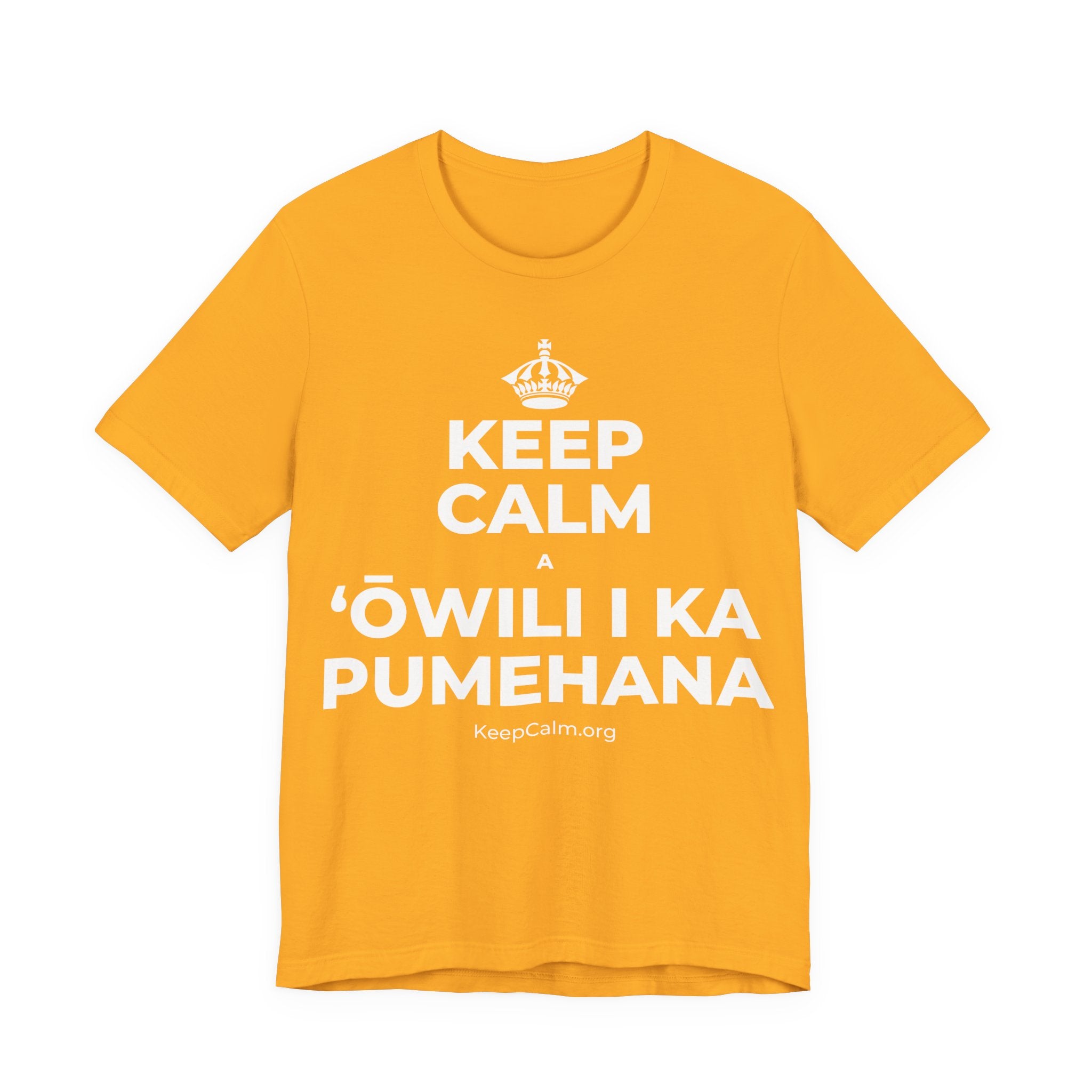 KEEP CALM A ʻŌWILI I KA PUMEHANA T-Shirt (Baby Blue–Silver)