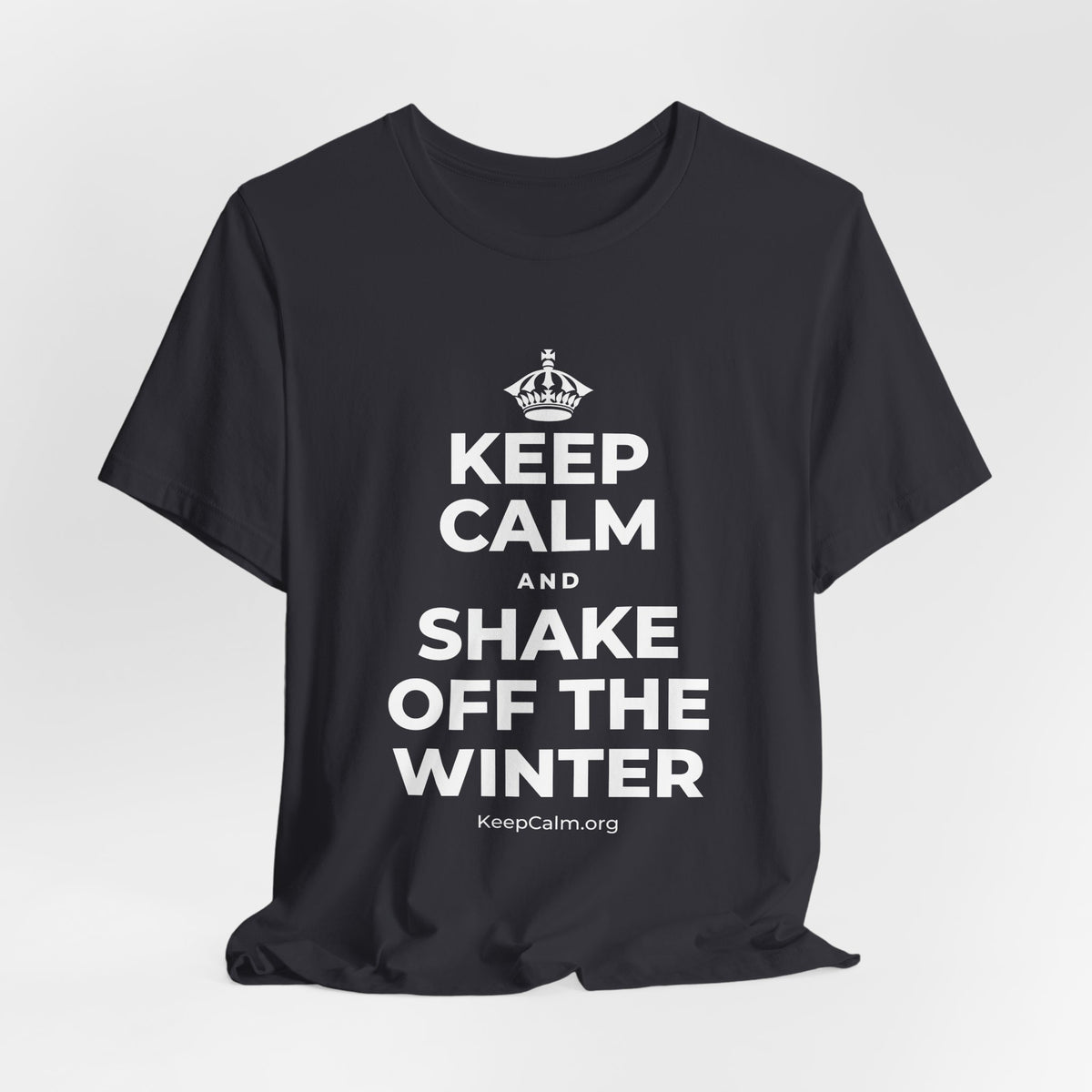 KEEP CALM AND SHAKE OFF THE WINTER T-Shirt (Baby Blue–Silver)