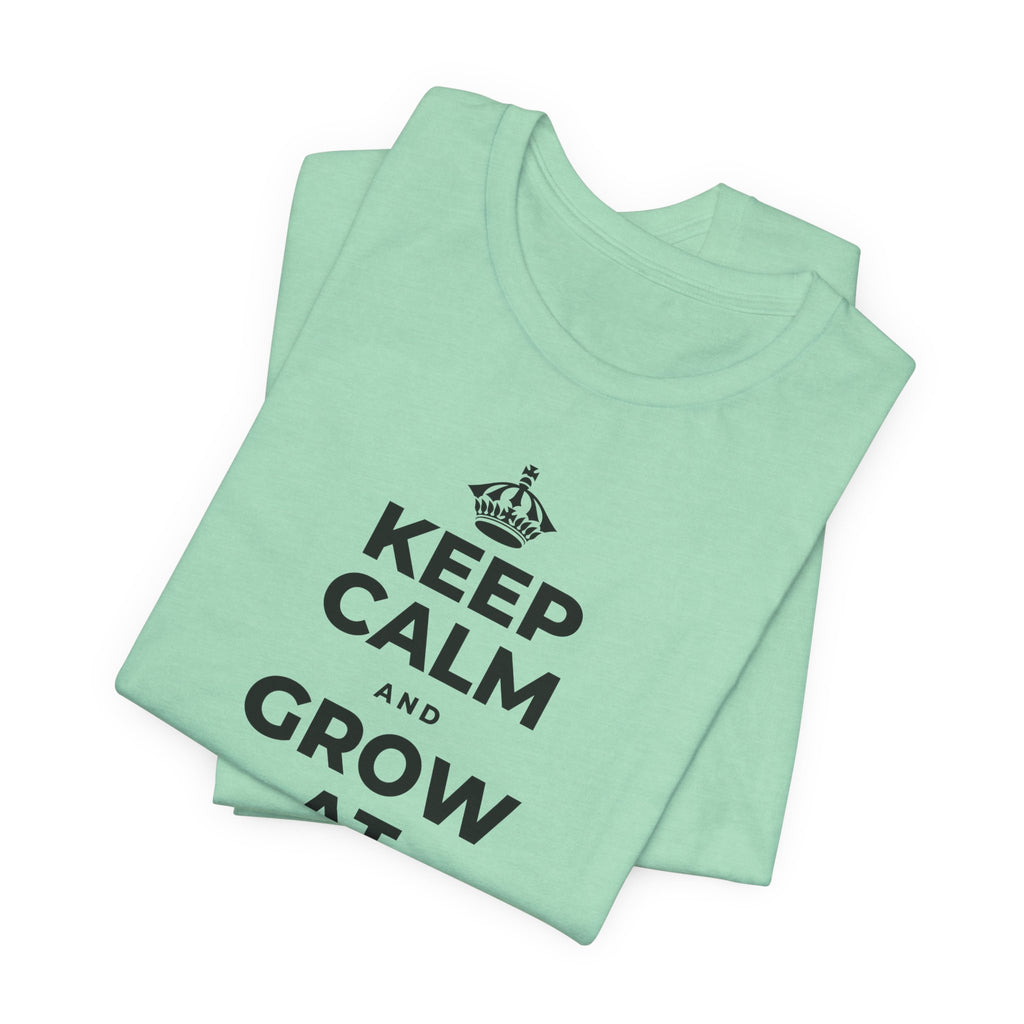 KEEP CALM AND GROW AT YOUR OWN PACE T-Shirt (Baby Blue–Silver)