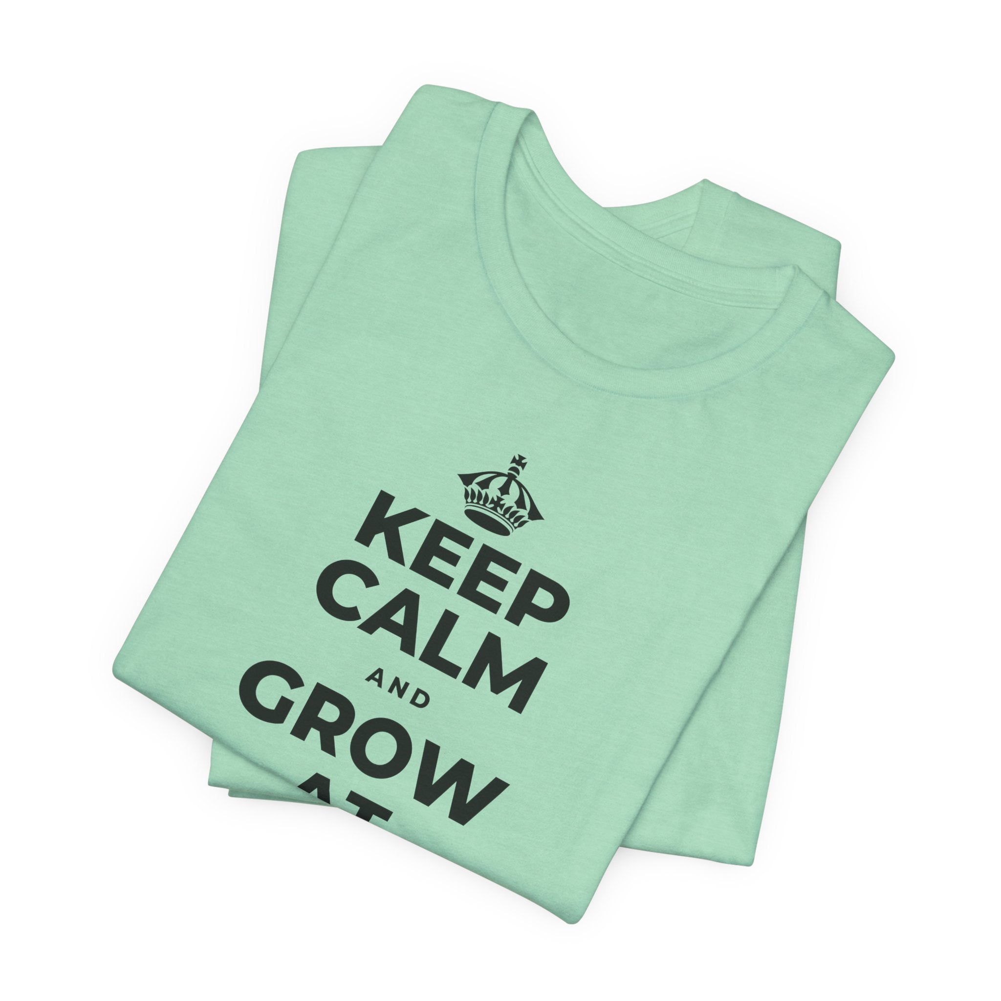 KEEP CALM AND GROW AT YOUR OWN PACE T-Shirt (Baby Blue–Silver)