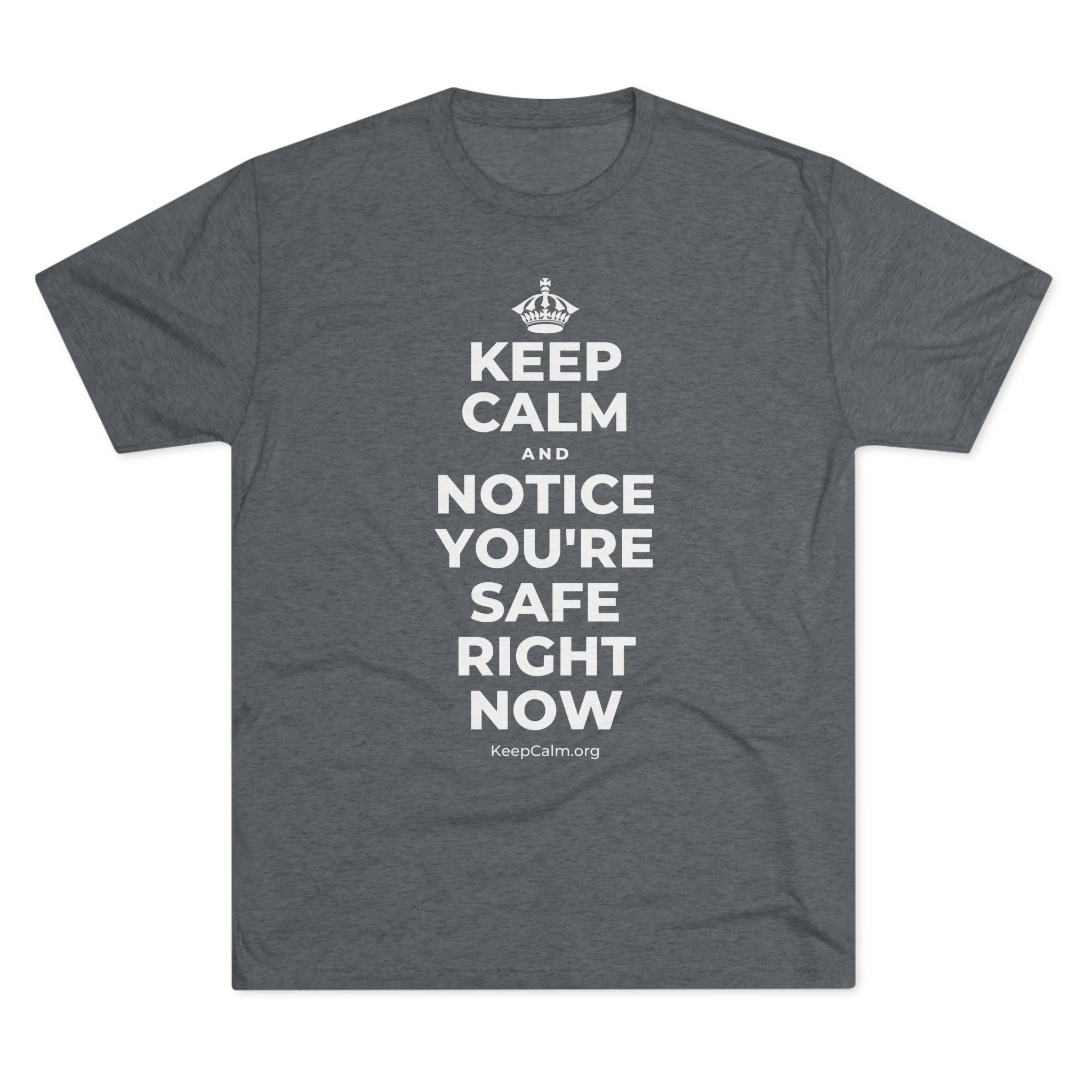 KEEP CALM AND NOTICE YOU'RE SAFE RIGHT NOW Tri-Blend Tee