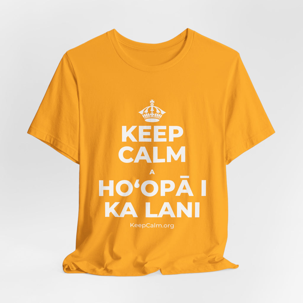 KEEP CALM A HOʻOPĀ I KA LANI T-Shirt (Baby Blue–Silver)