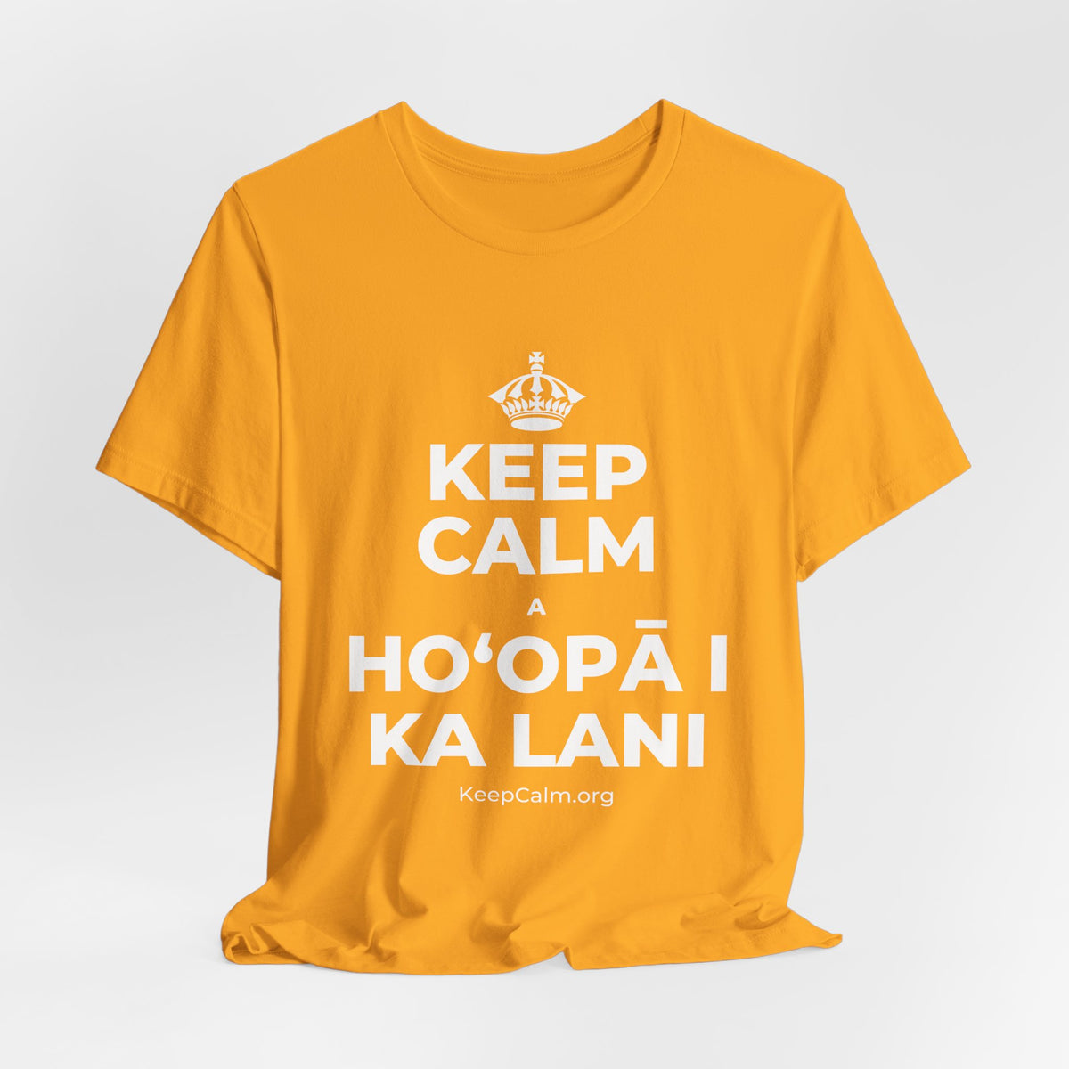 KEEP CALM A HOʻOPĀ I KA LANI T-Shirt (Baby Blue–Silver)
