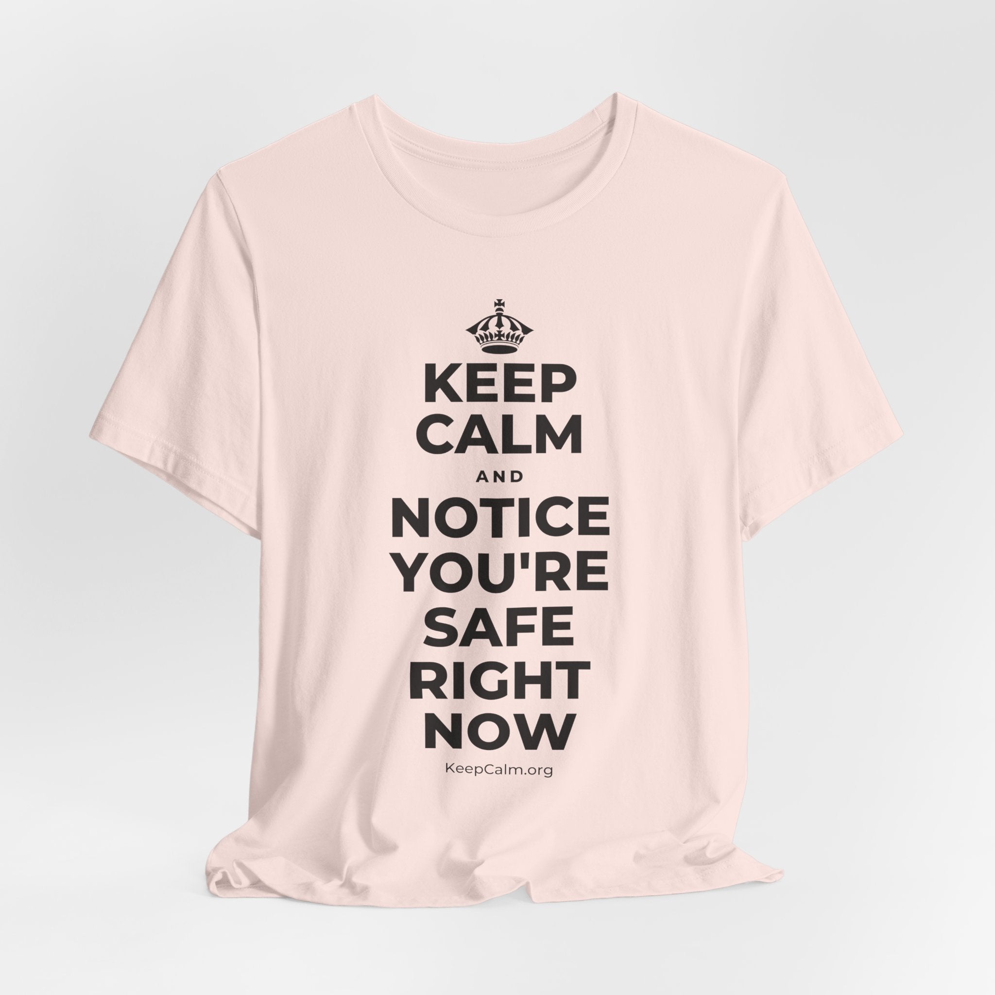 KEEP CALM AND NOTICE YOU'RE SAFE RIGHT NOW T-Shirt (Soft Cream–Heather Mauve)