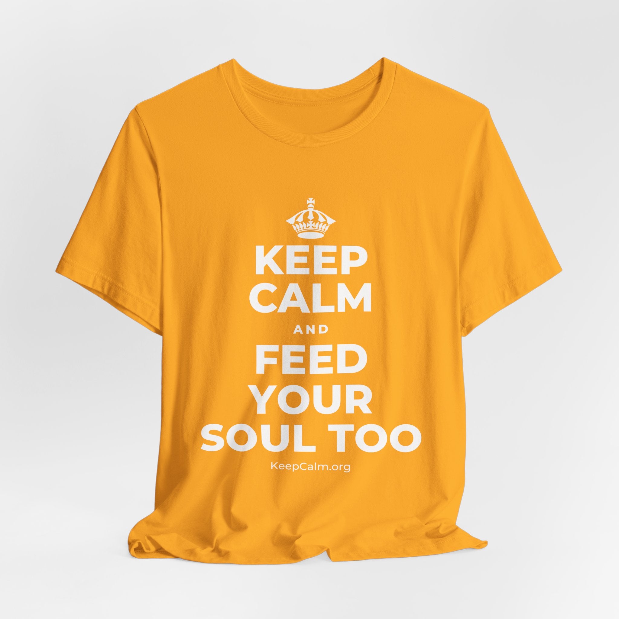 KEEP CALM AND FEED YOUR SOUL TOO T-Shirt (Baby Blue–Silver)
