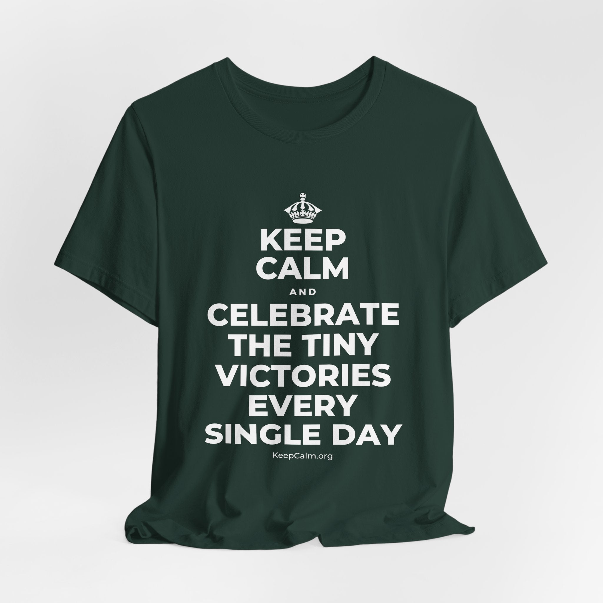 KEEP CALM AND CELEBRATE THE TINY VICTORIES EVERY SINGLE DAY T-Shirt (White–Asphalt)