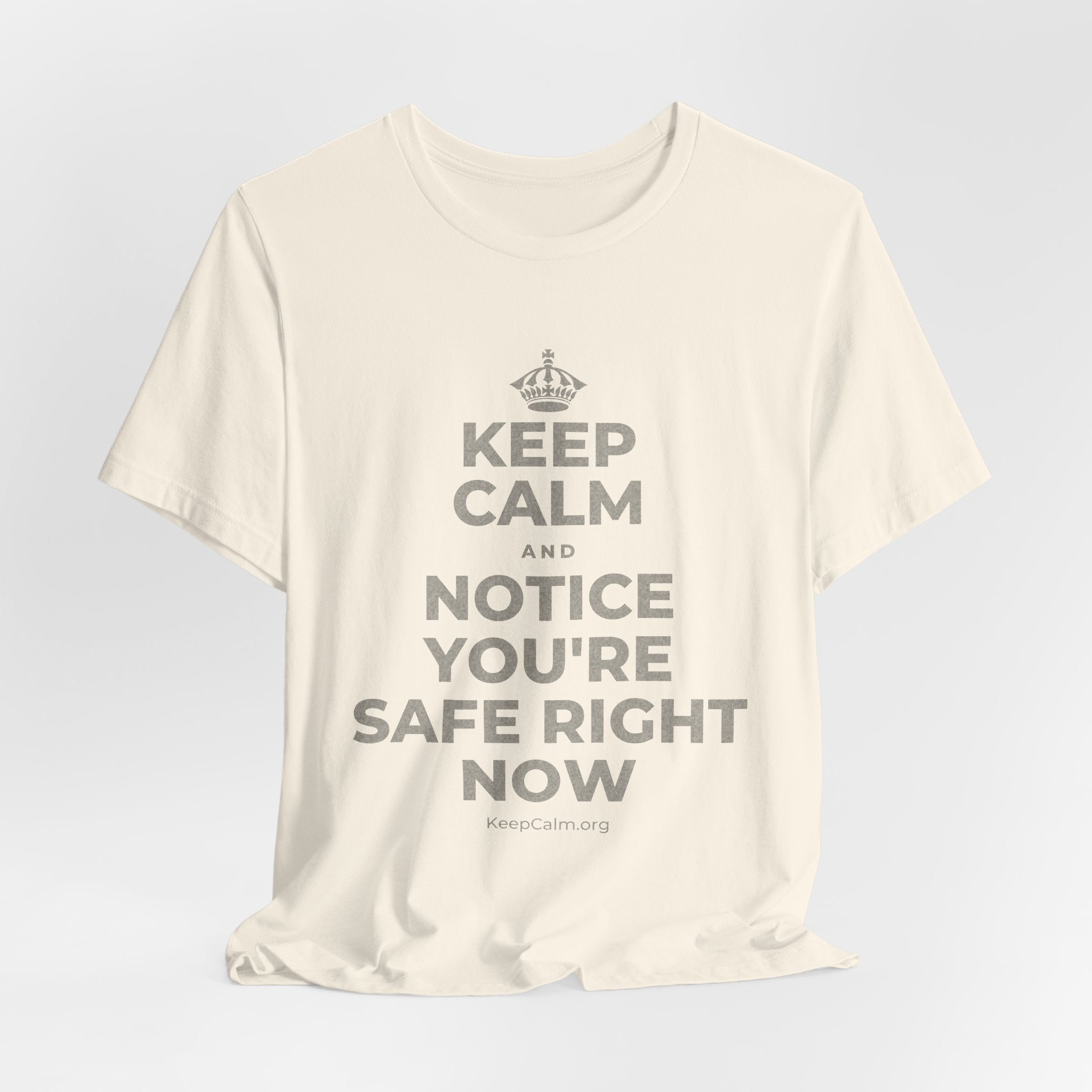 KEEP CALM AND NOTICE YOU'RE SAFE RIGHT NOW T-Shirt (White–Asphalt)