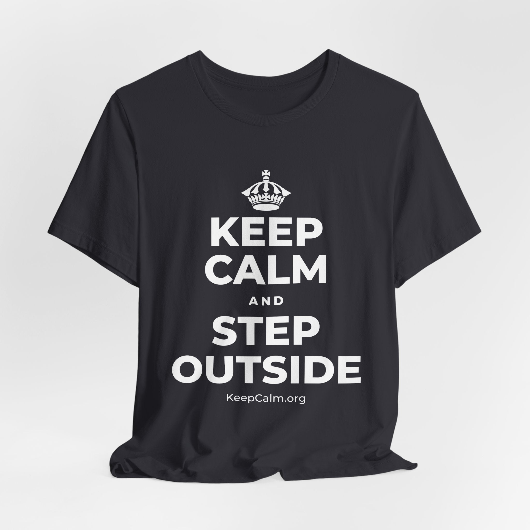 KEEP CALM AND STEP OUTSIDE T-Shirt (Baby Blue–Silver)