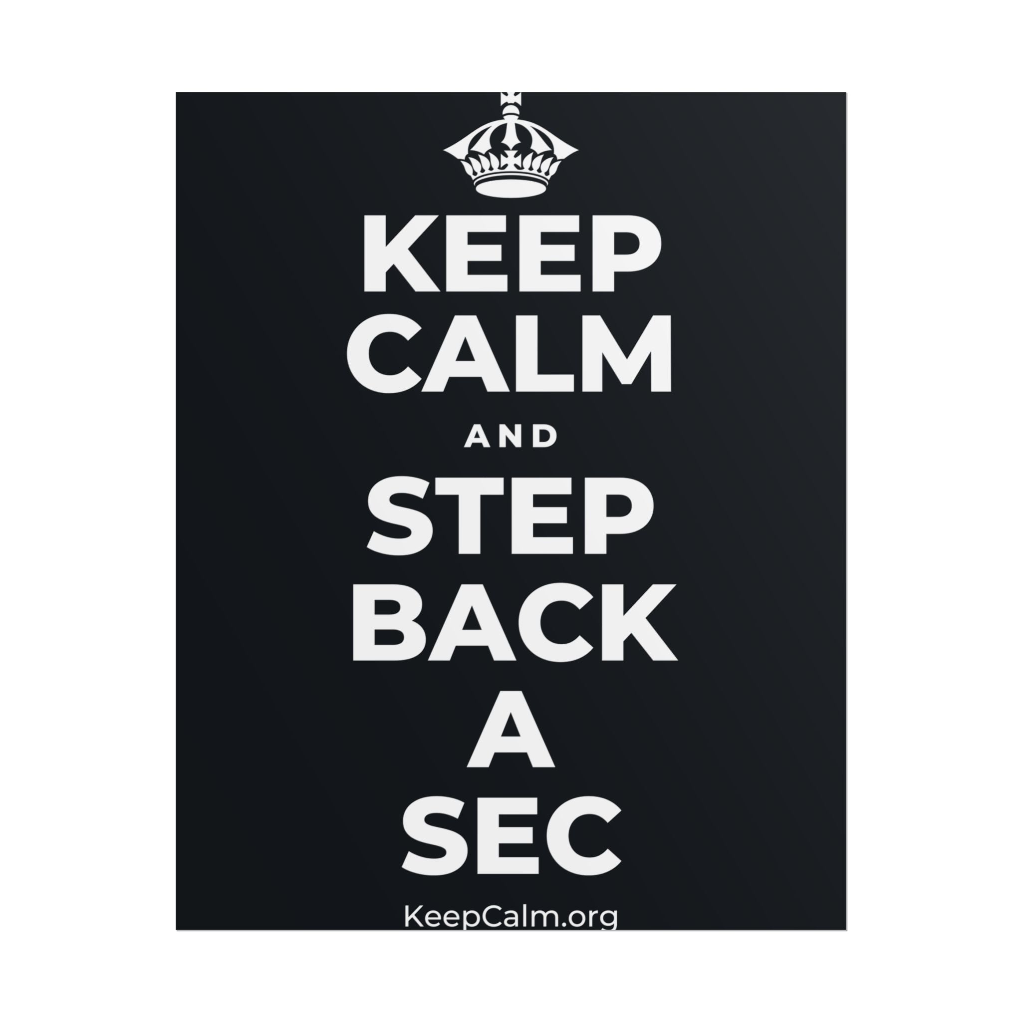 KEEP CALM AND STEP BACK A SEC Poster (Dark)