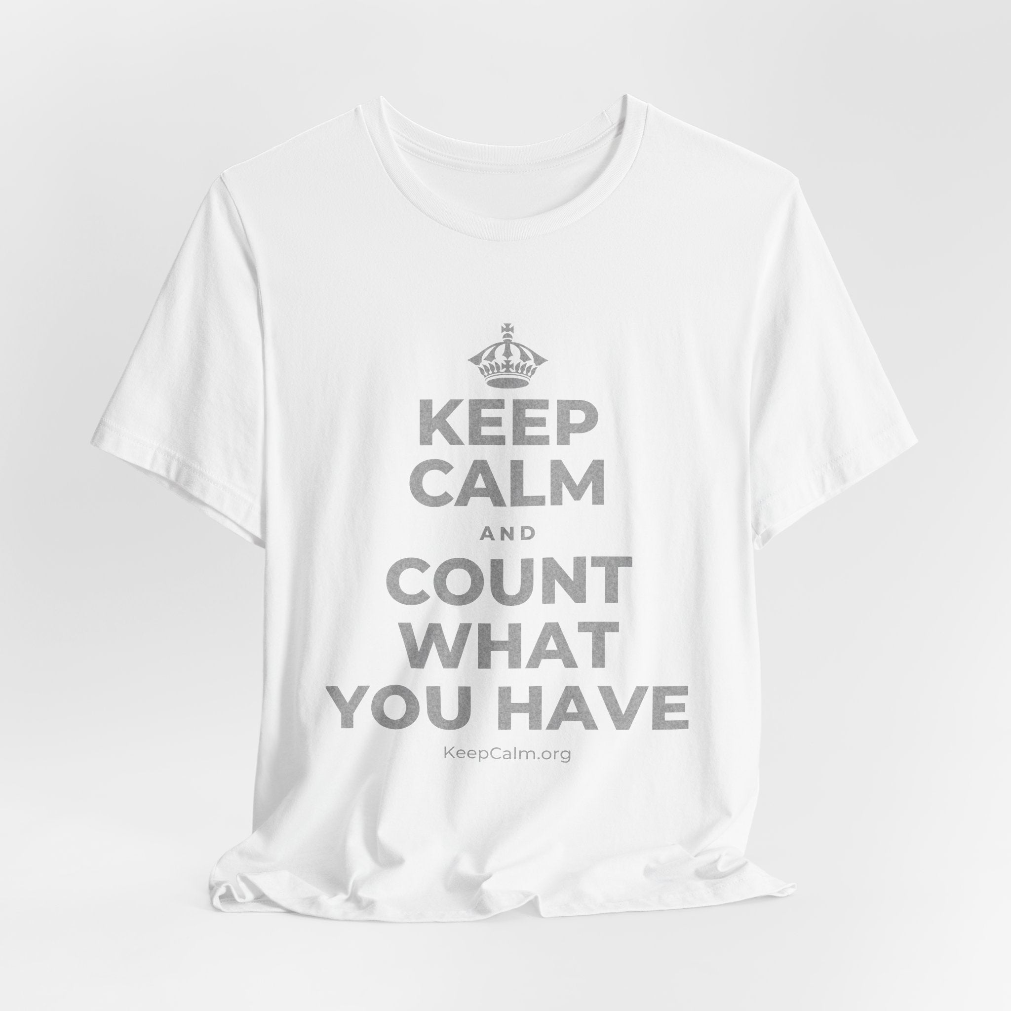 KEEP CALM AND COUNT WHAT YOU HAVE T-Shirt (White–Asphalt)