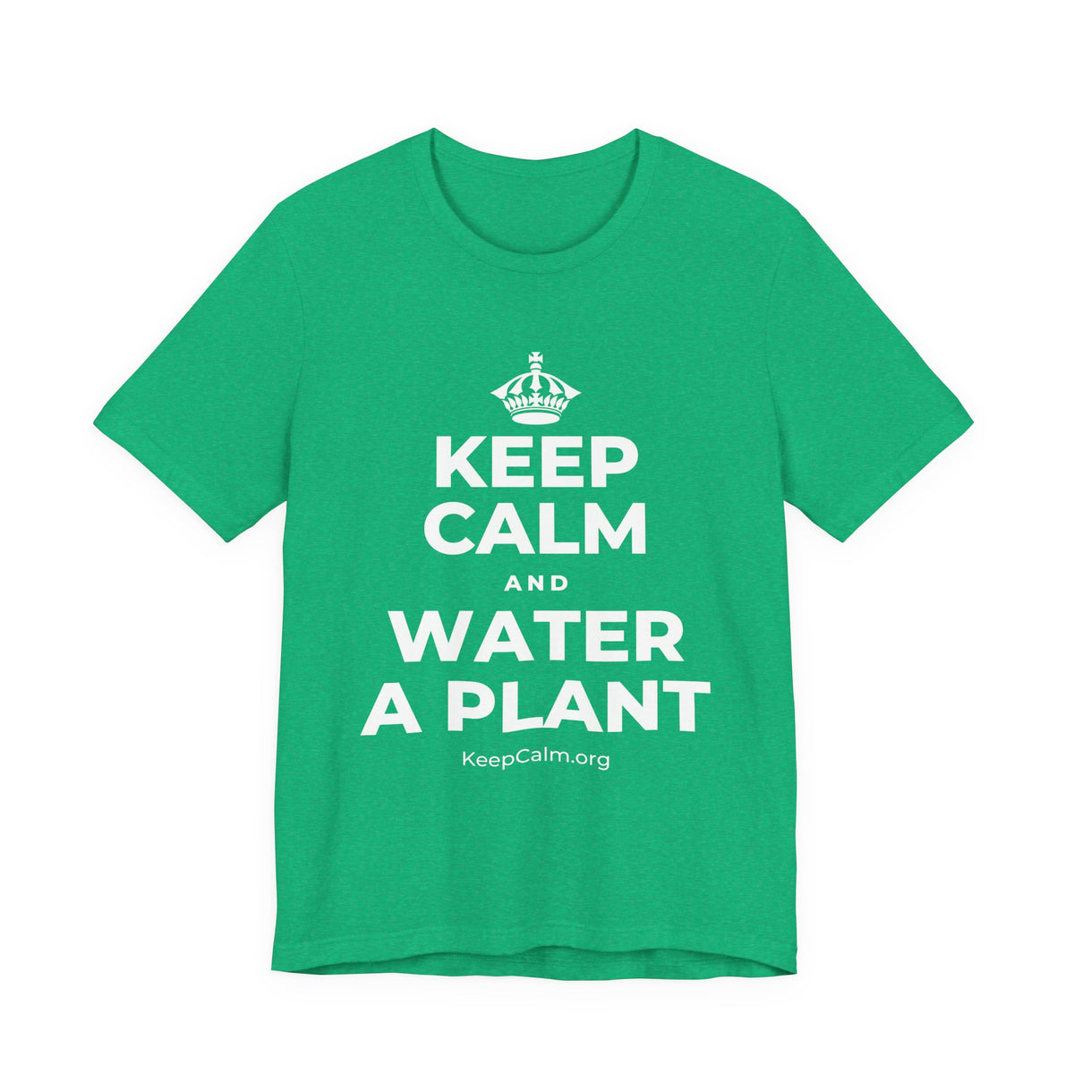 KEEP CALM AND WATER A PLANT T-Shirt (Baby Blue–Silver)