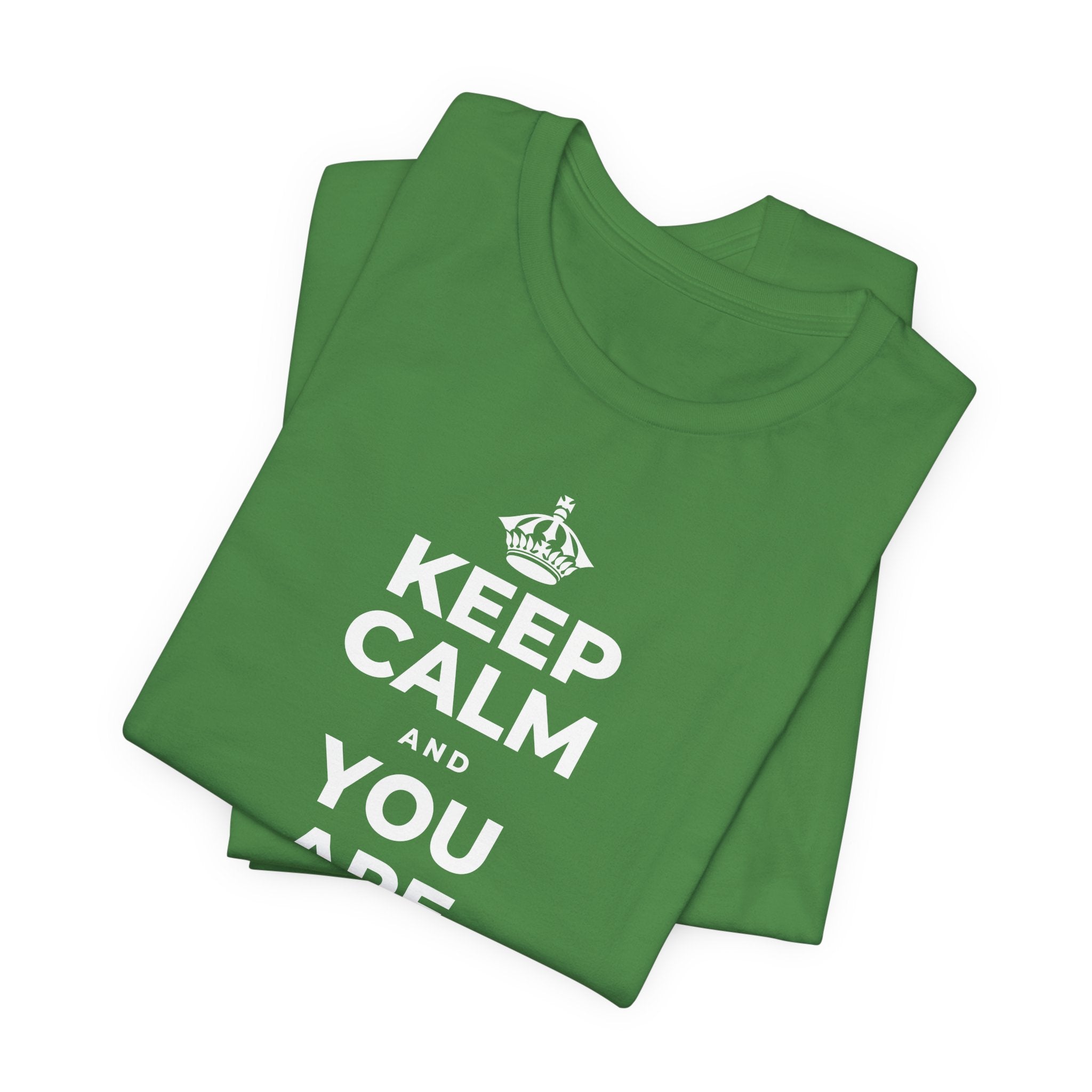 KEEP CALM AND YOU ARE DOING GREAT TODAY T-Shirt (Baby Blue–Silver)