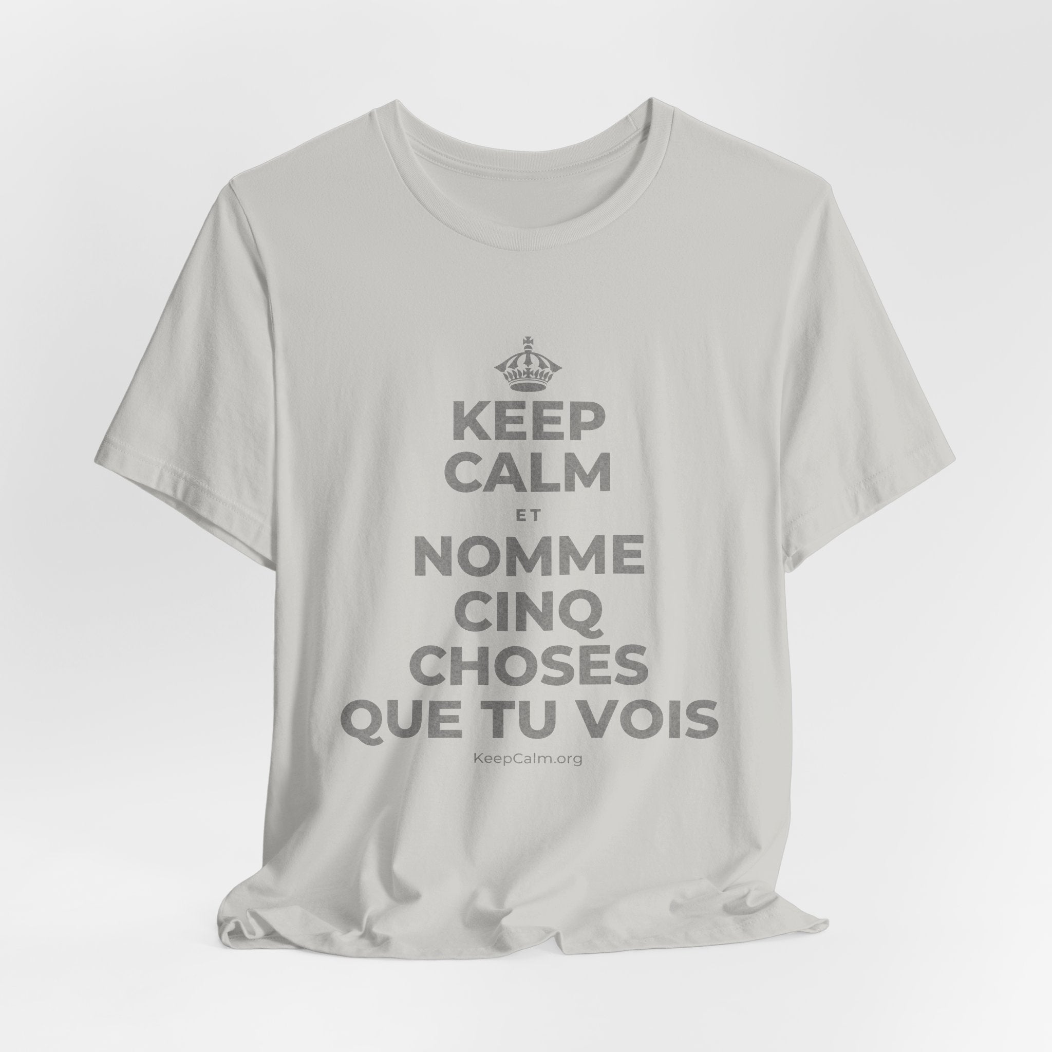 KEEP CALM ET NOMME CINQ CHOSES QUE TU VOIS T-Shirt (Baby Blue–Silver)
