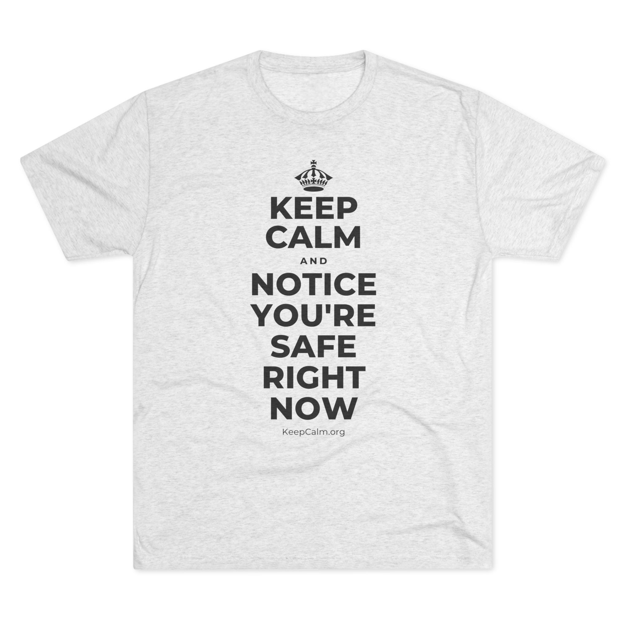 KEEP CALM AND NOTICE YOU'RE SAFE RIGHT NOW Tri-Blend Tee