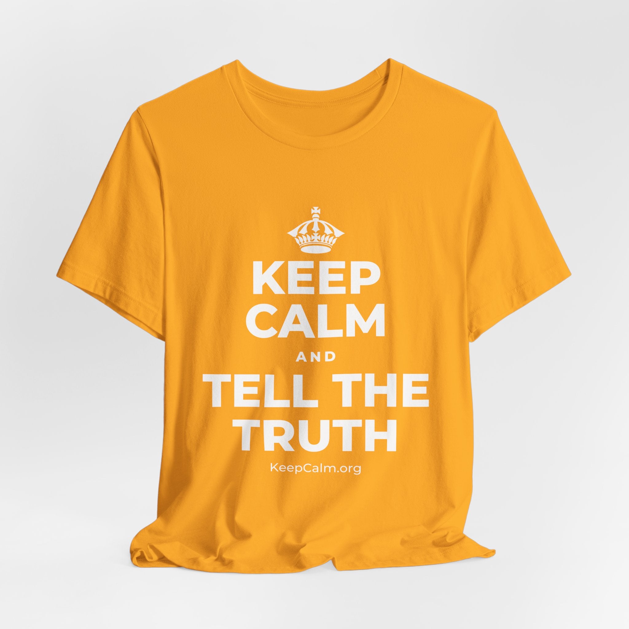 KEEP CALM AND TELL THE TRUTH T-Shirt (Baby Blue–Silver)