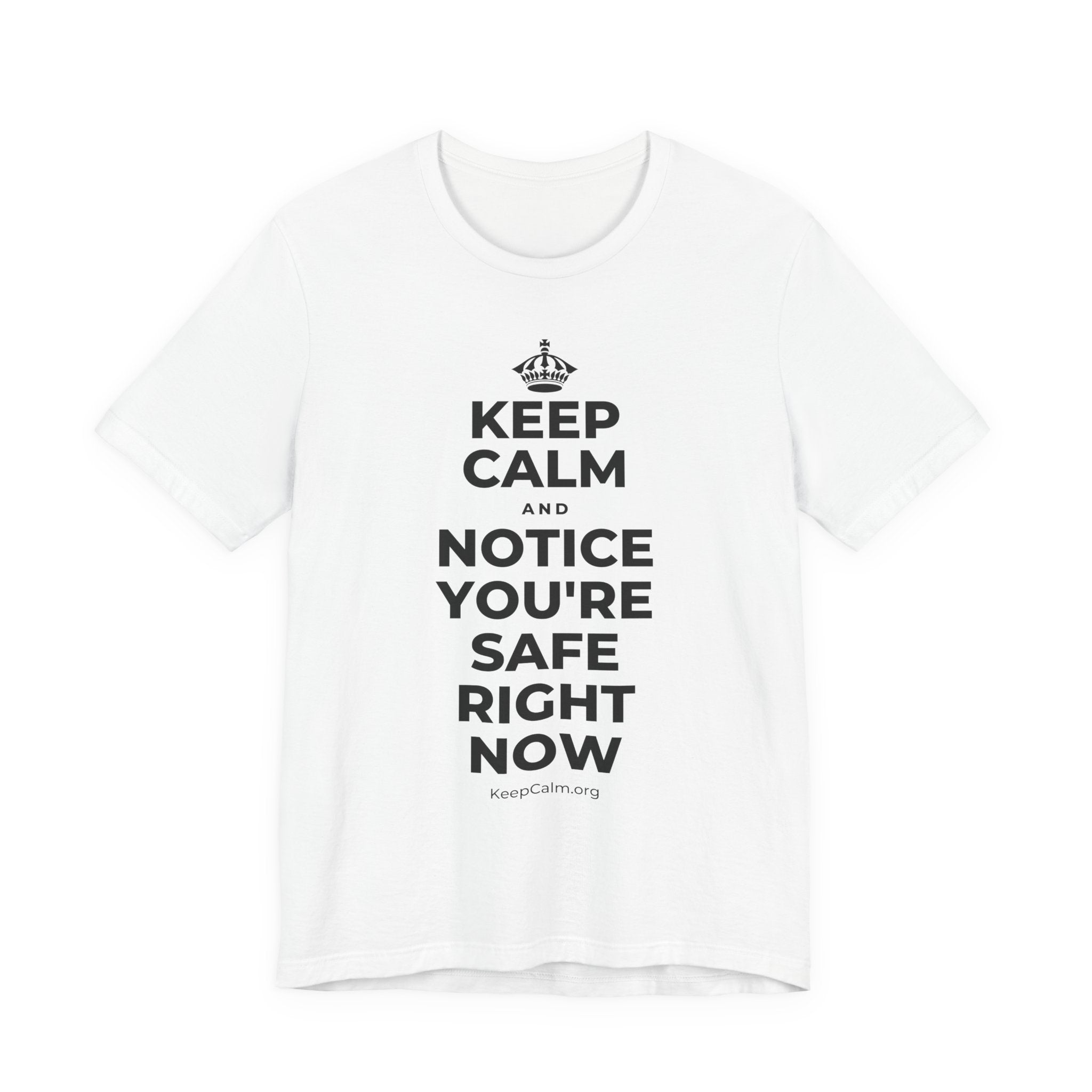 KEEP CALM AND NOTICE YOU'RE SAFE RIGHT NOW T-Shirt (White–Asphalt)