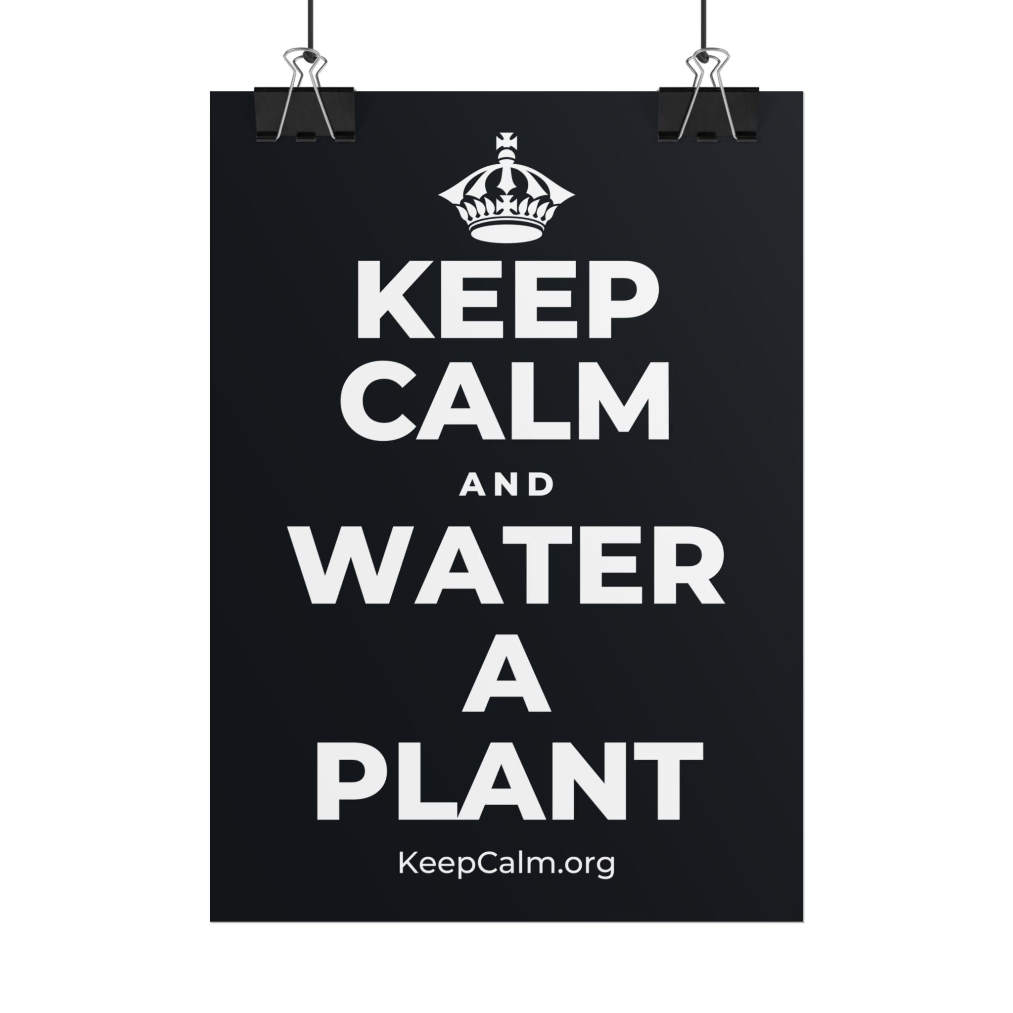 KEEP CALM AND WATER A PLANT Poster (Dark)