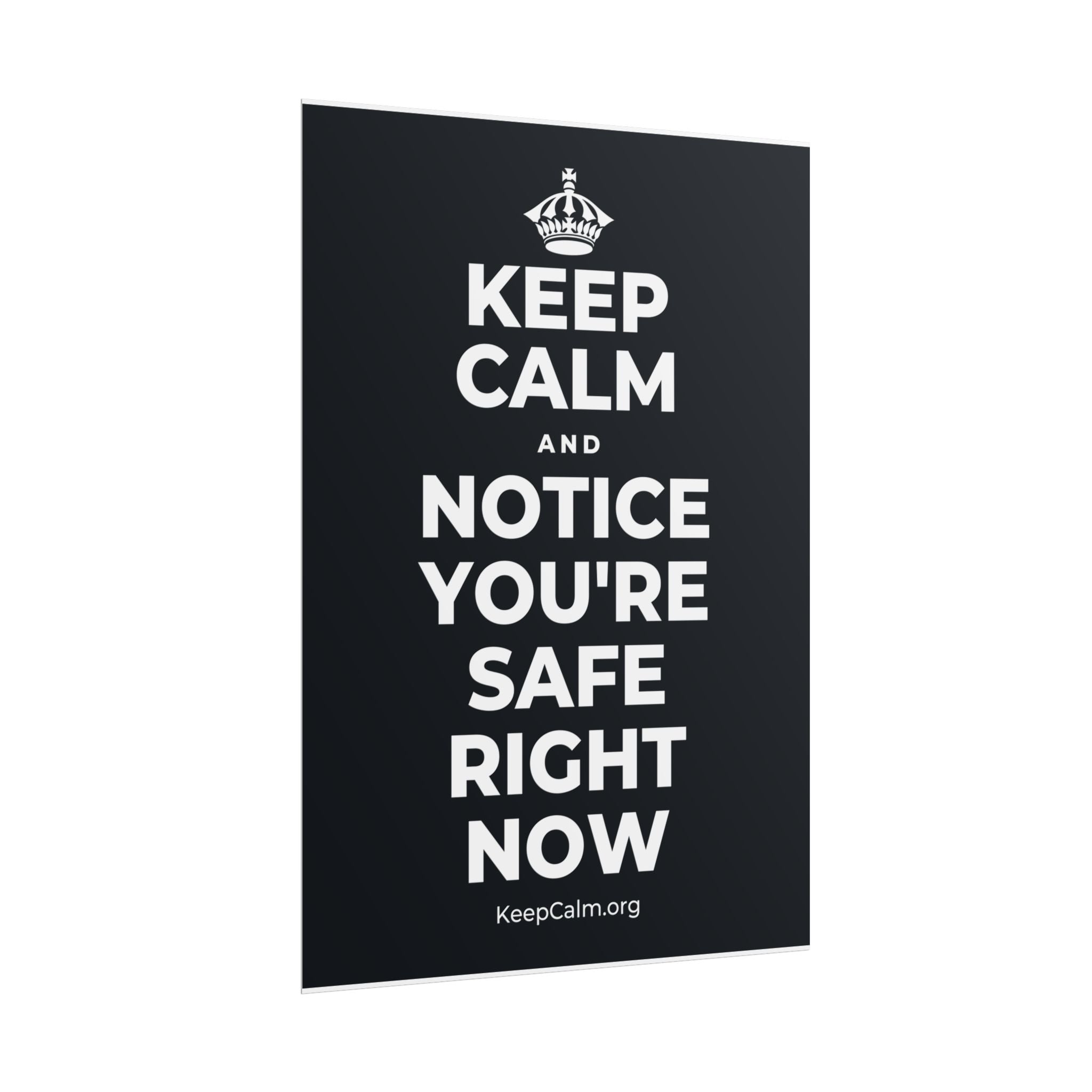 KEEP CALM AND NOTICE YOU'RE SAFE RIGHT NOW Poster (Dark)