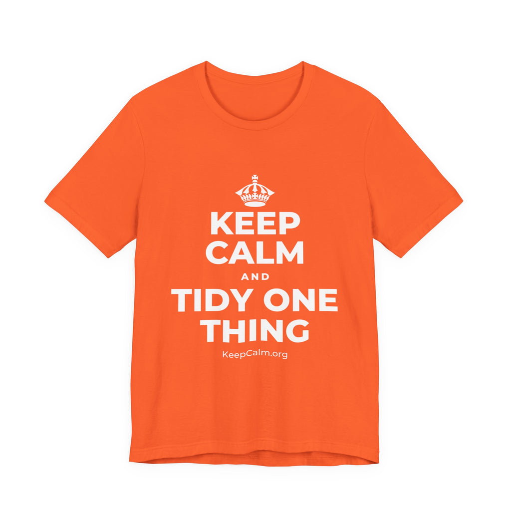 KEEP CALM AND TIDY ONE THING T-Shirt (Baby Blue–Silver)