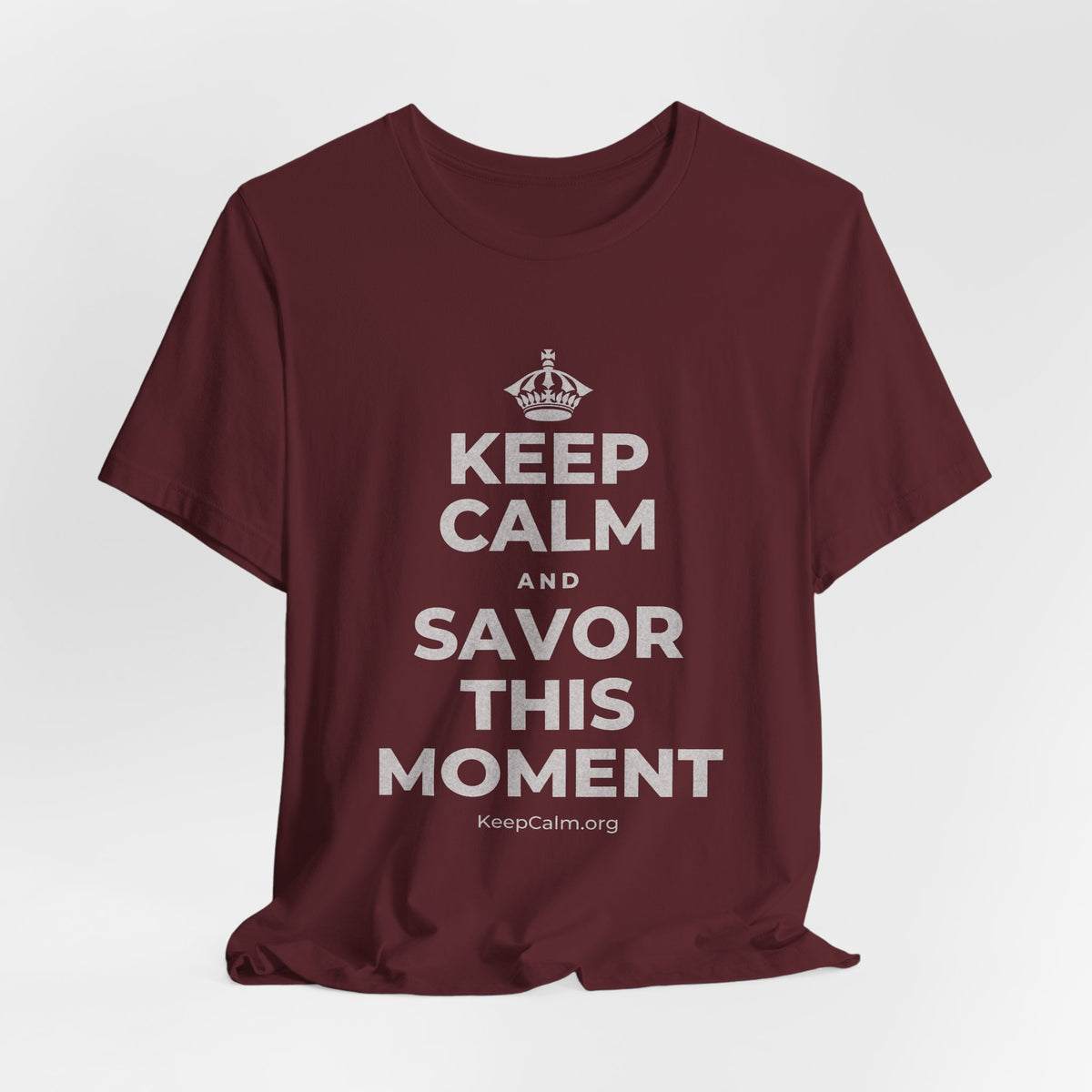 KEEP CALM AND SAVOR THIS MOMENT T-Shirt (Baby Blue–Silver)
