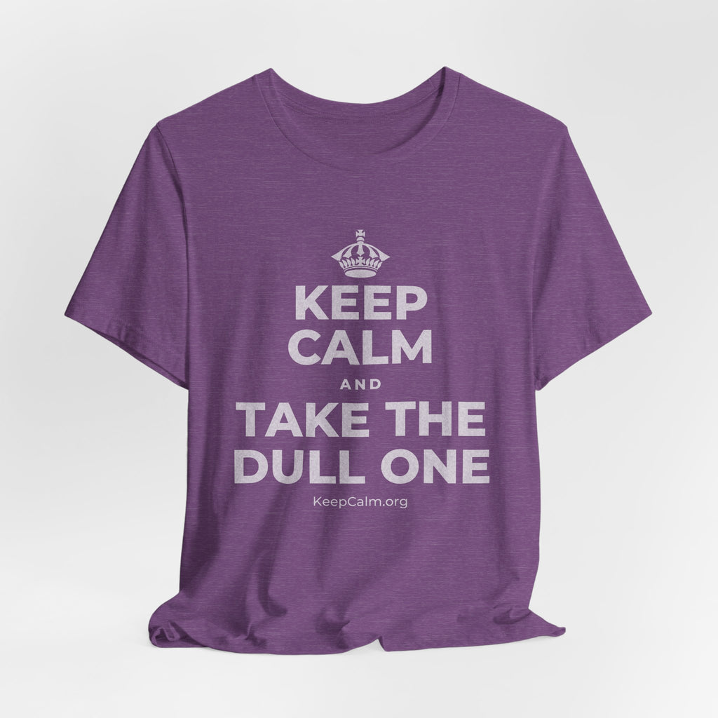 KEEP CALM AND TAKE THE DULL ONE T-Shirt (Baby Blue–Silver)