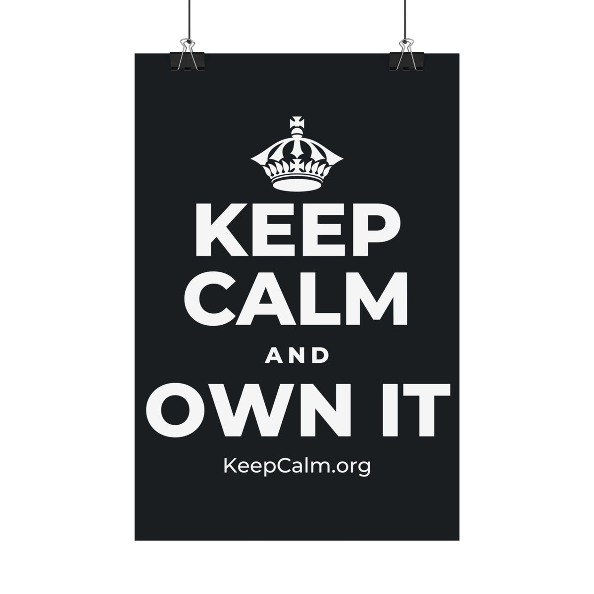 KEEP CALM AND OWN IT Satin Poster (Dark)