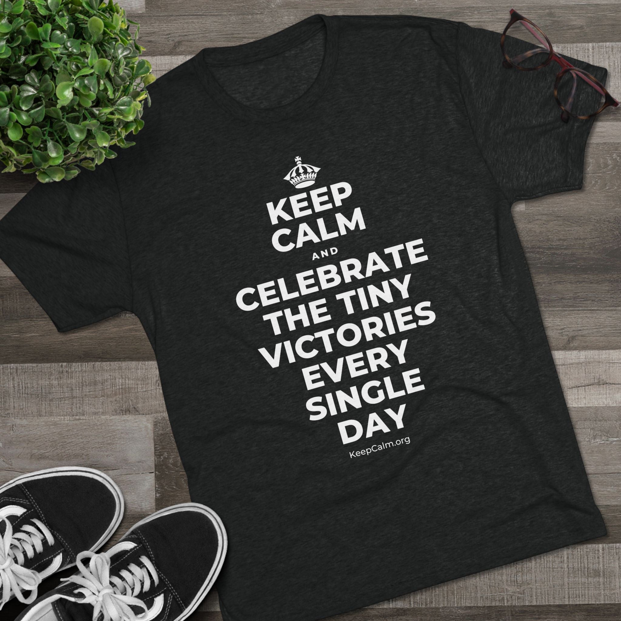 KEEP CALM AND CELEBRATE THE TINY VICTORIES EVERY SINGLE DAY Tri-Blend Tee