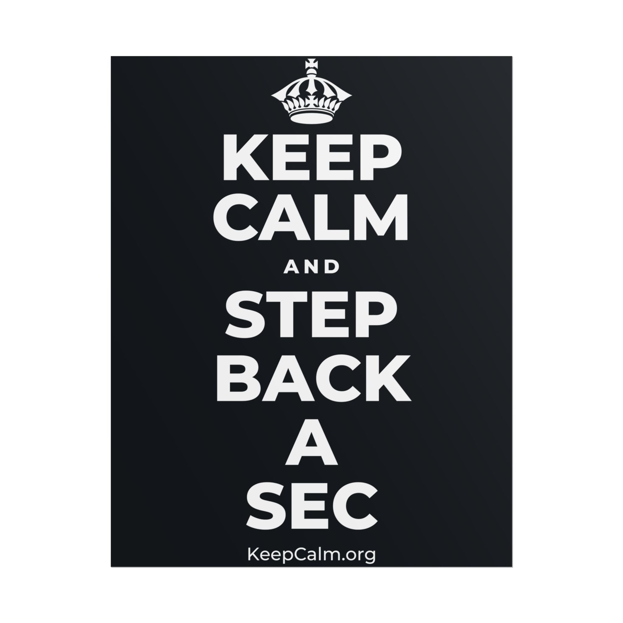 KEEP CALM AND STEP BACK A SEC Poster (Dark)