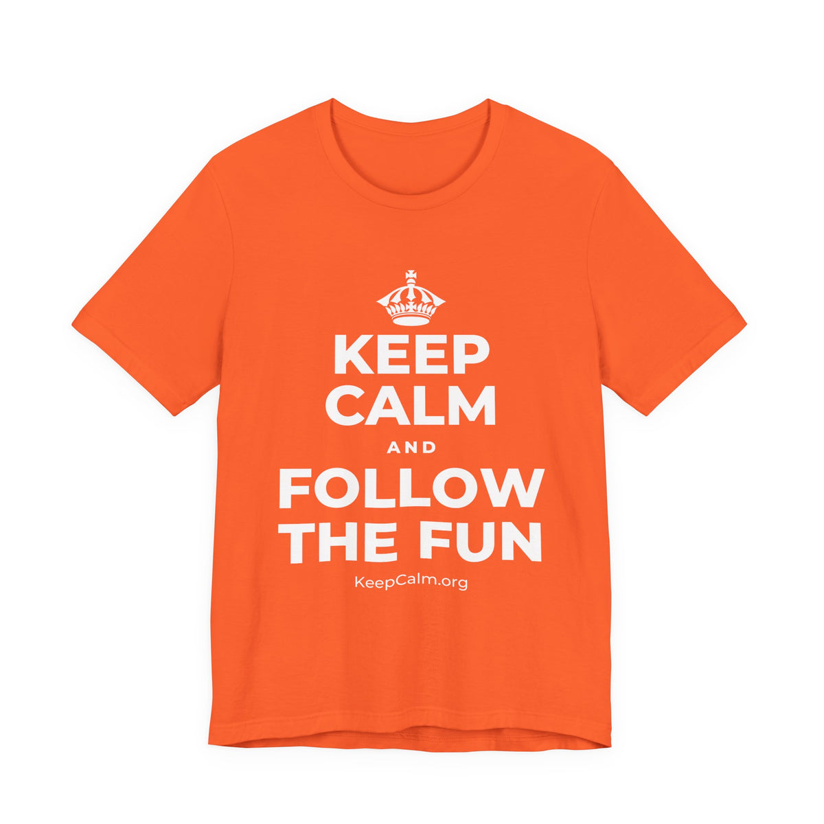 KEEP CALM AND FOLLOW THE FUN T-Shirt (Baby Blue–Silver)