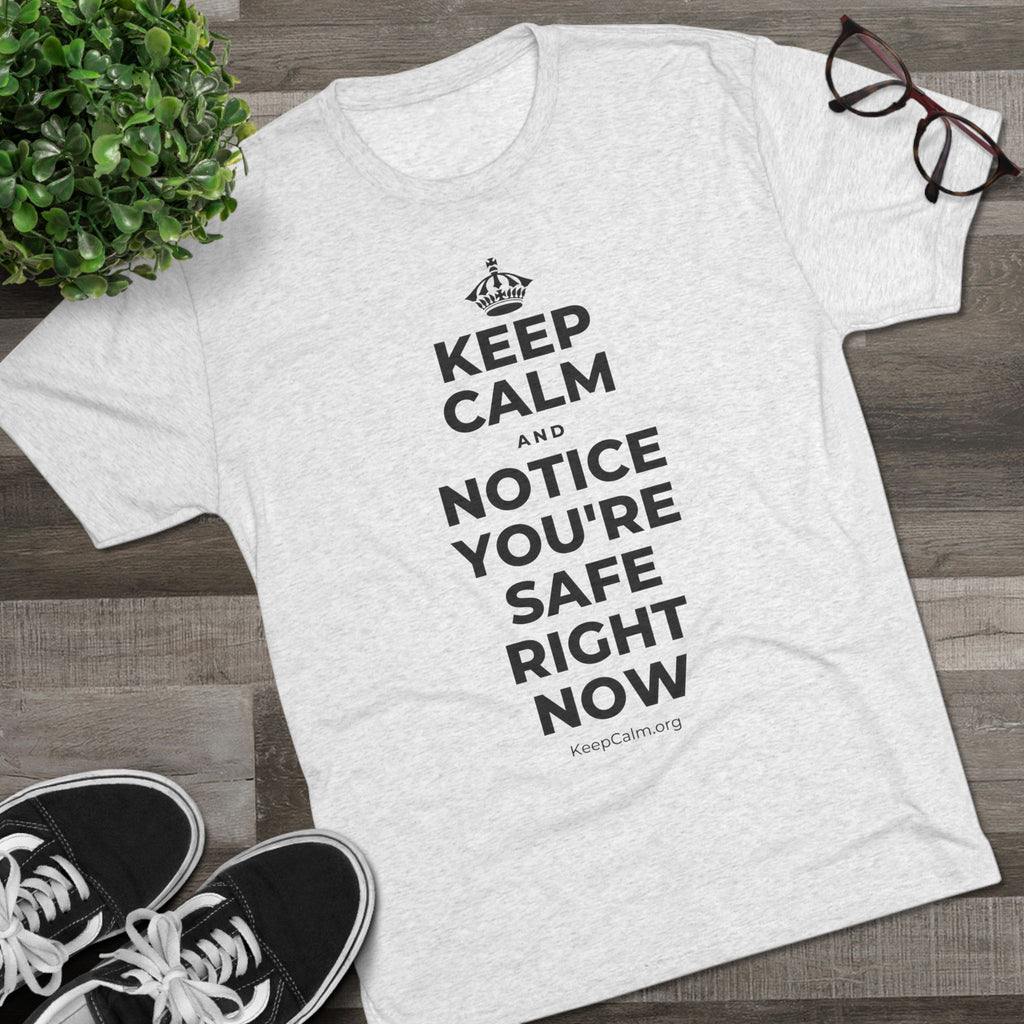 KEEP CALM AND NOTICE YOU'RE SAFE RIGHT NOW Tri-Blend Tee