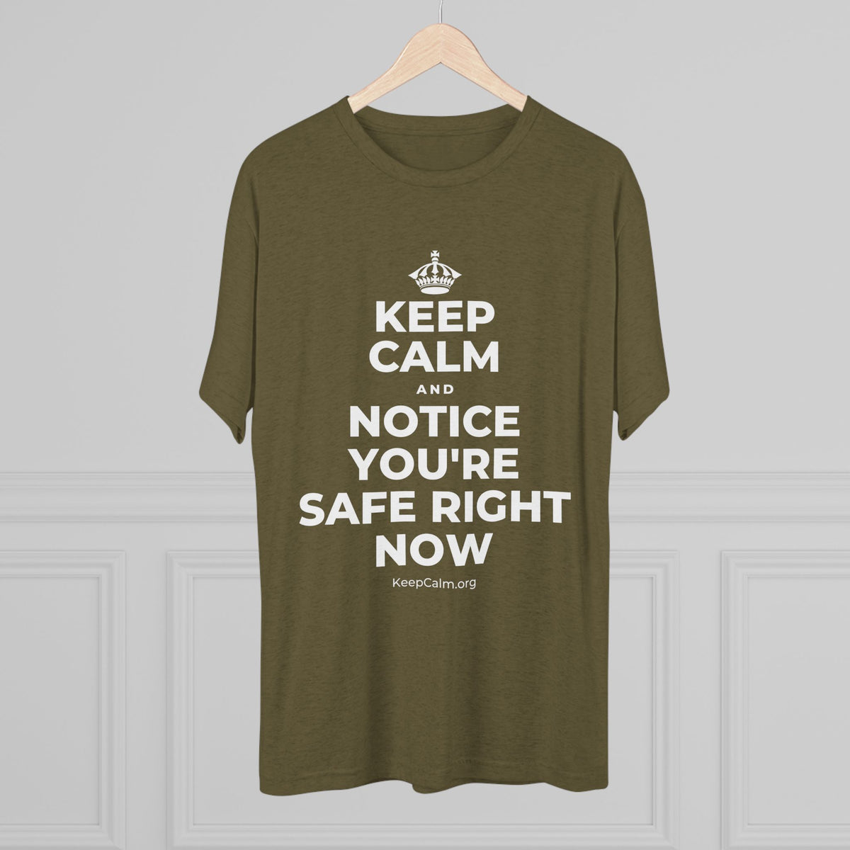 KEEP CALM AND NOTICE YOU'RE SAFE RIGHT NOW Tri-Blend Tee