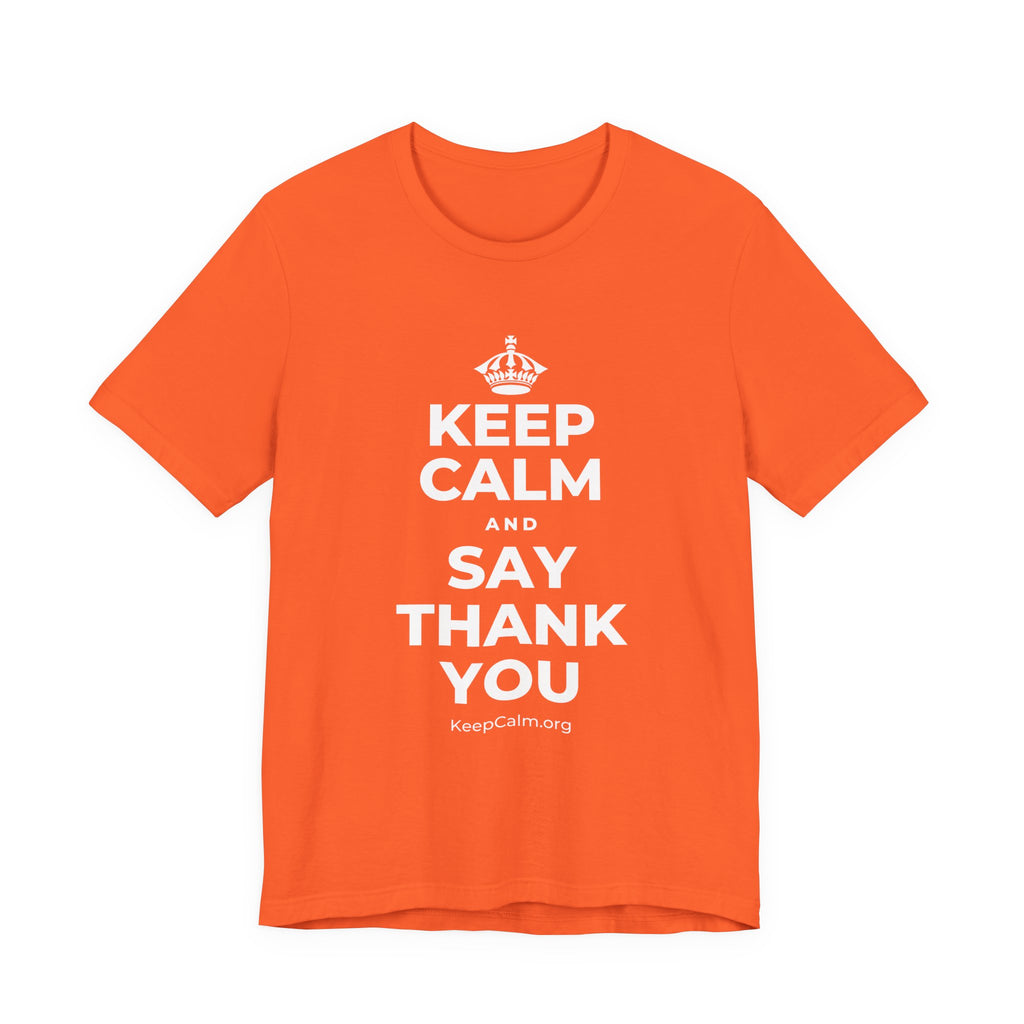 KEEP CALM AND SAY THANK YOU T-Shirt (Baby Blue–Silver)