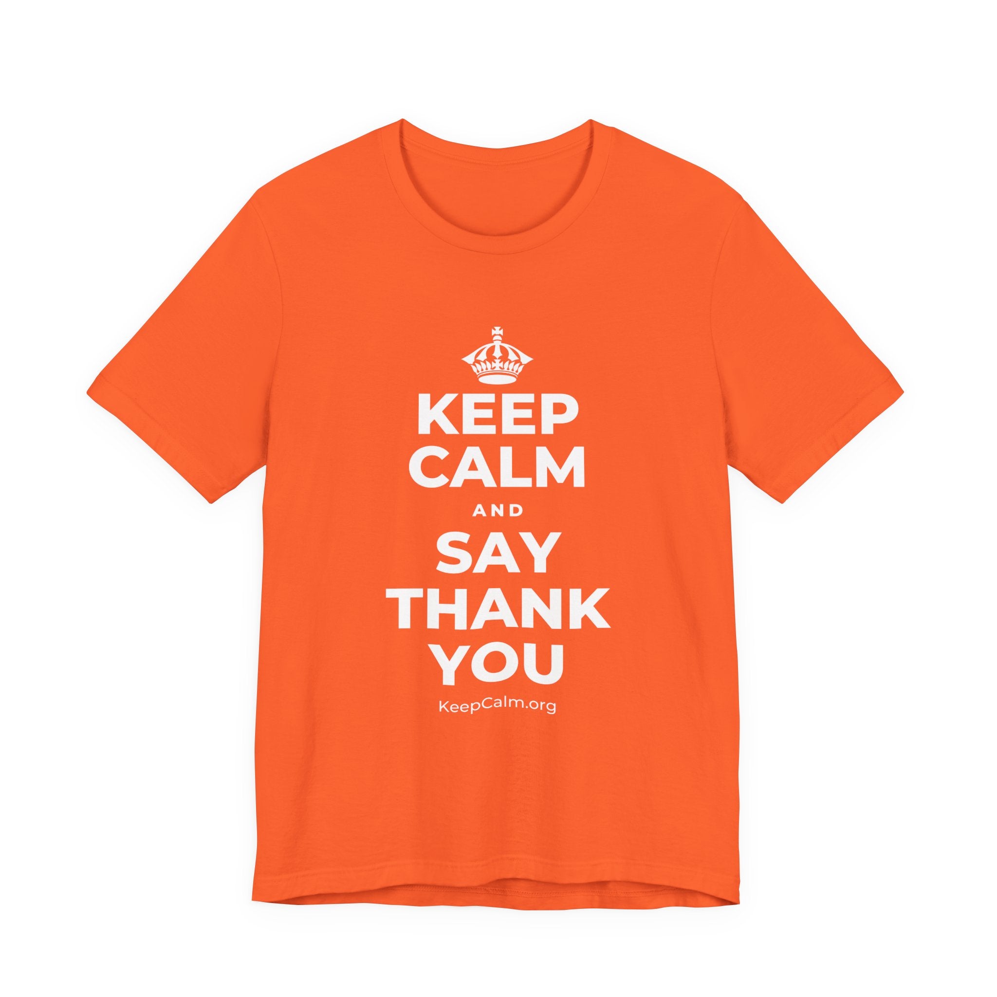 KEEP CALM AND SAY THANK YOU T-Shirt (Baby Blue–Silver)