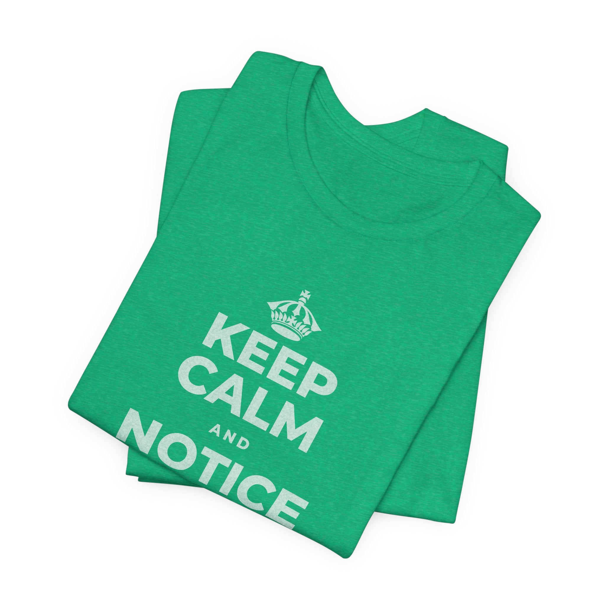 KEEP CALM AND NOTICE YOU'RE SAFE RIGHT NOW T-Shirt (Baby Blue–Silver)