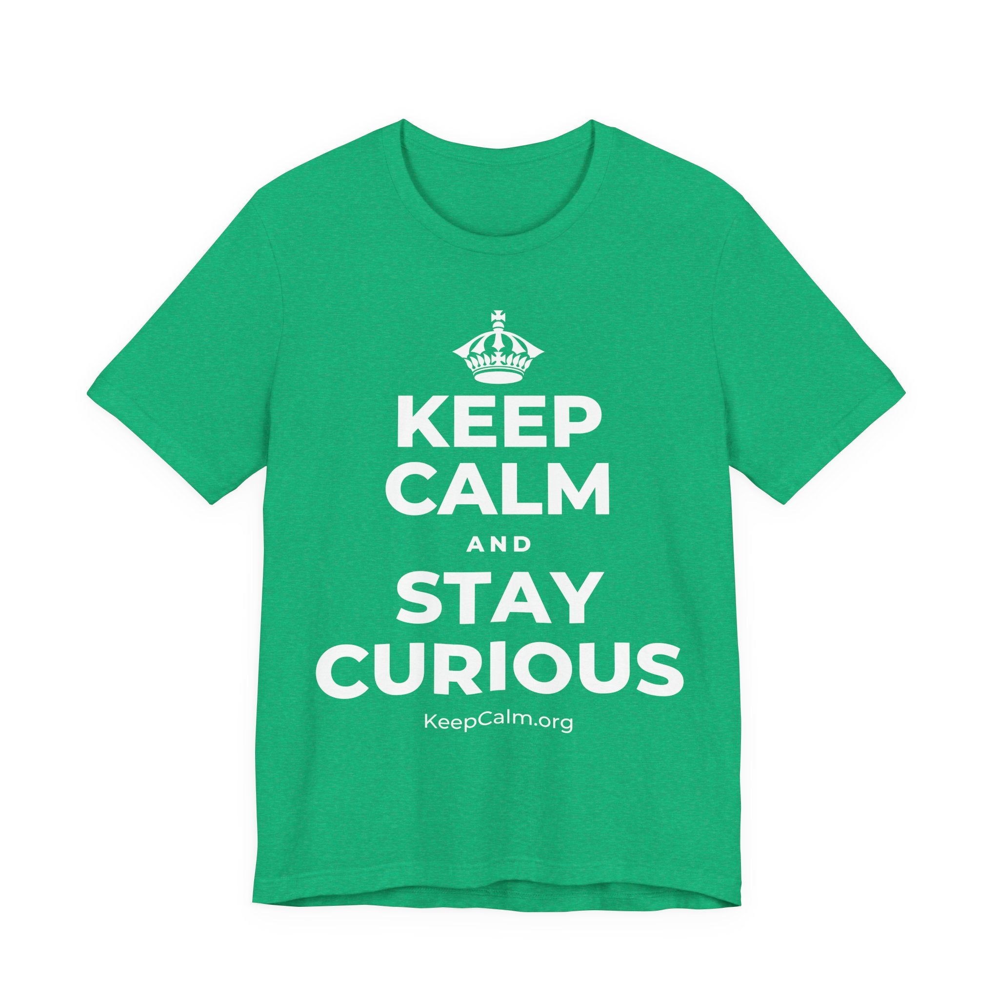 KEEP CALM AND STAY CURIOUS T-Shirt (Baby Blue–Silver)