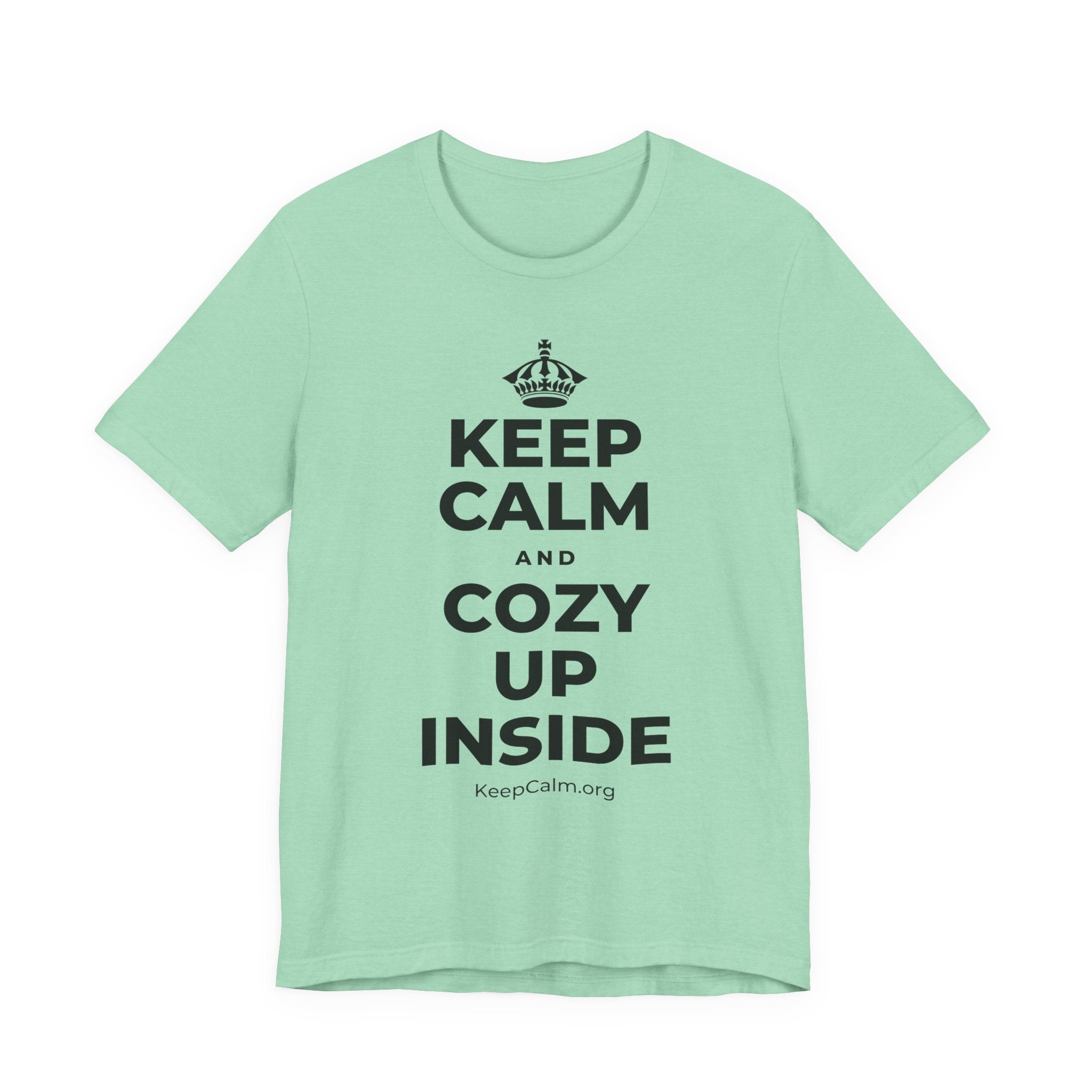KEEP CALM AND COZY UP INSIDE T-Shirt (Baby Blue–Silver)