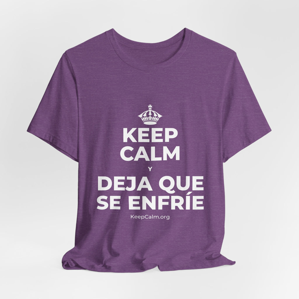 KEEP CALM Y DEJA QUE SE ENFRÍE T-Shirt (Baby Blue–Silver)