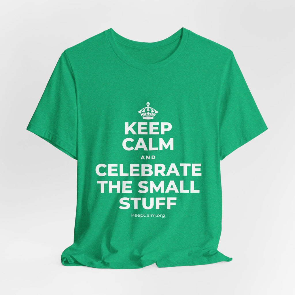 KEEP CALM AND CELEBRATE THE SMALL STUFF T-Shirt (Baby Blue–Silver)