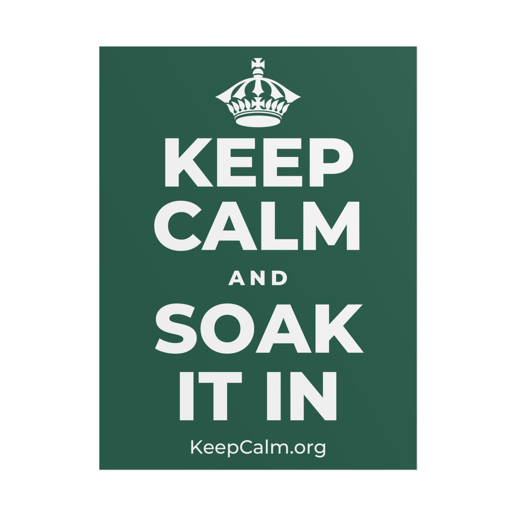 KEEP CALM AND SOAK IT IN Poster